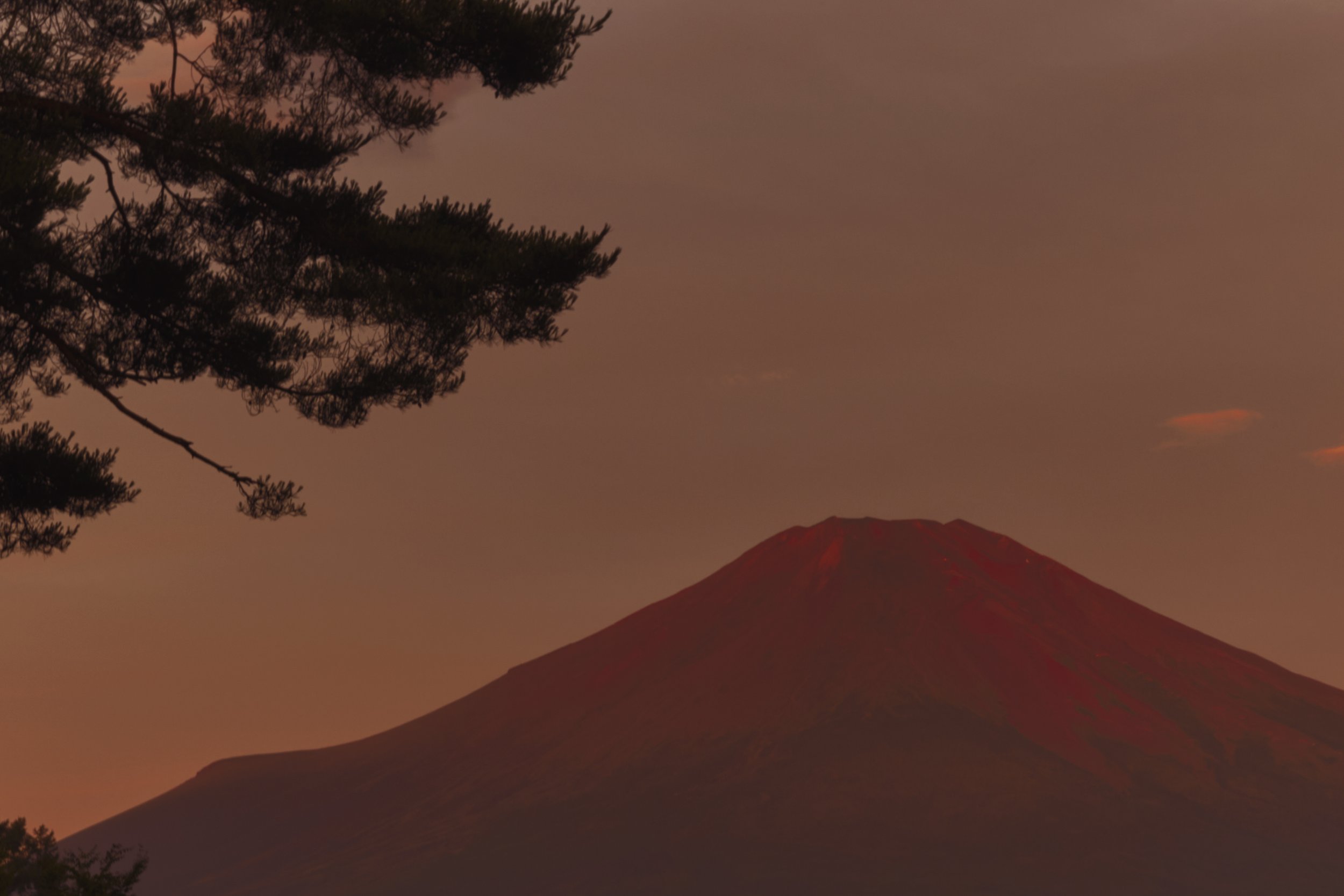 Ukiyo