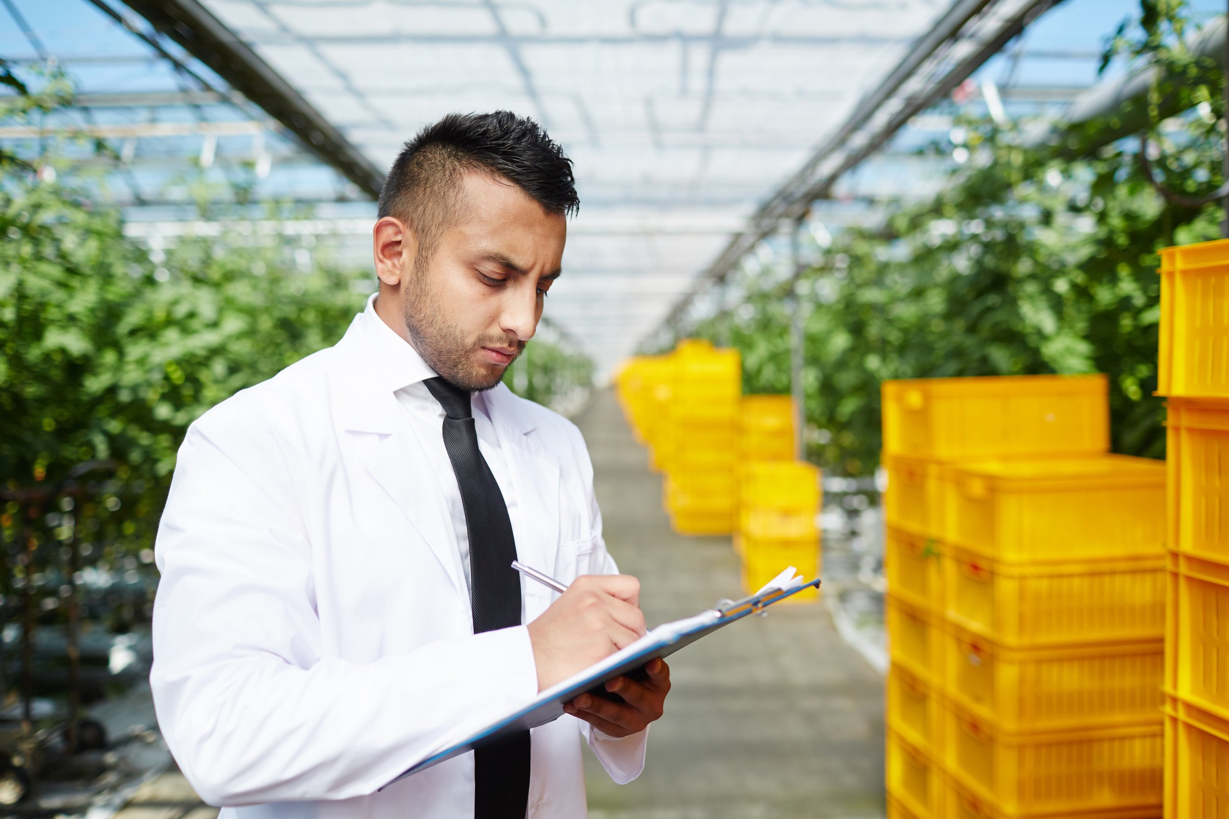 Wat is GLOBALG.A.P. &amp; GRASP