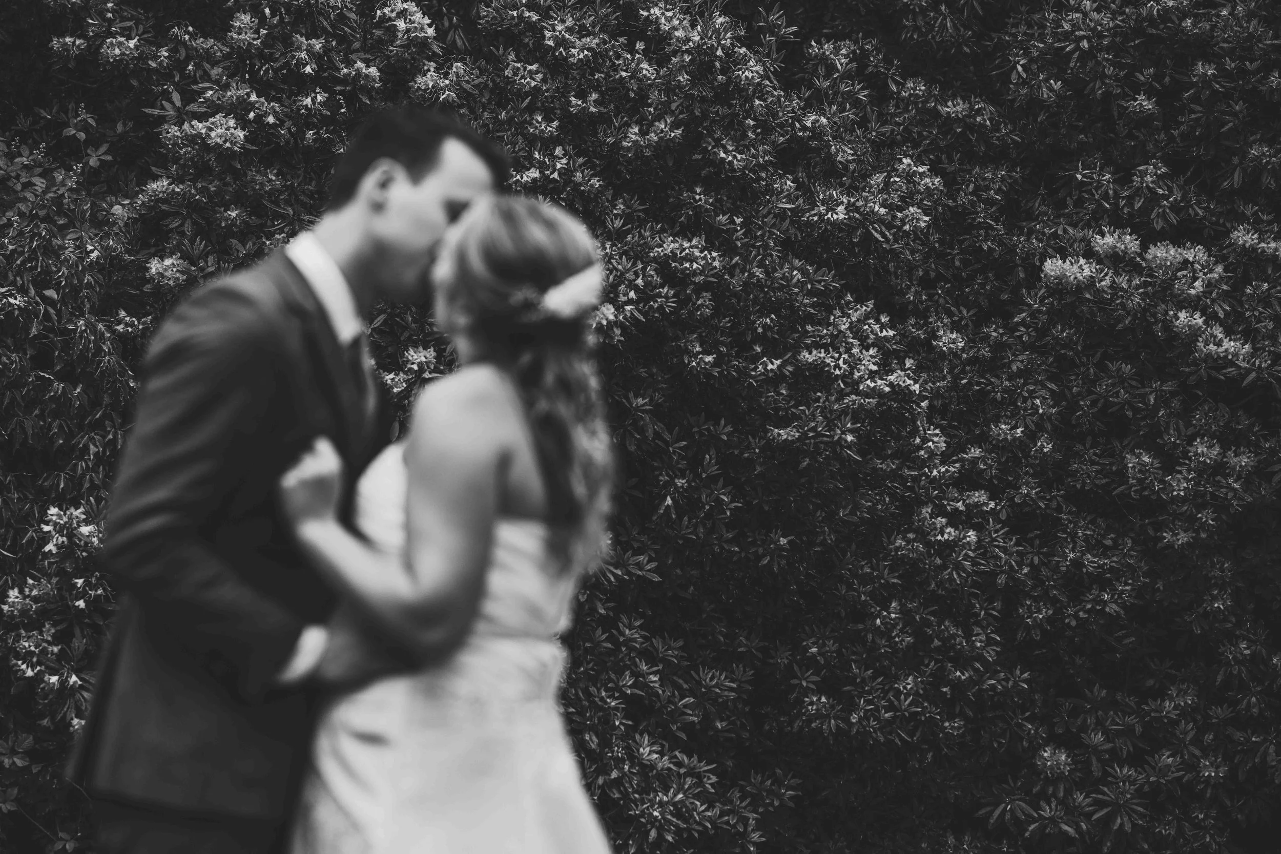 A blurry black and white photo of a bride and groom standing close together, with the groom leaning in to kiss the bride, in front of dense leafy bushes.