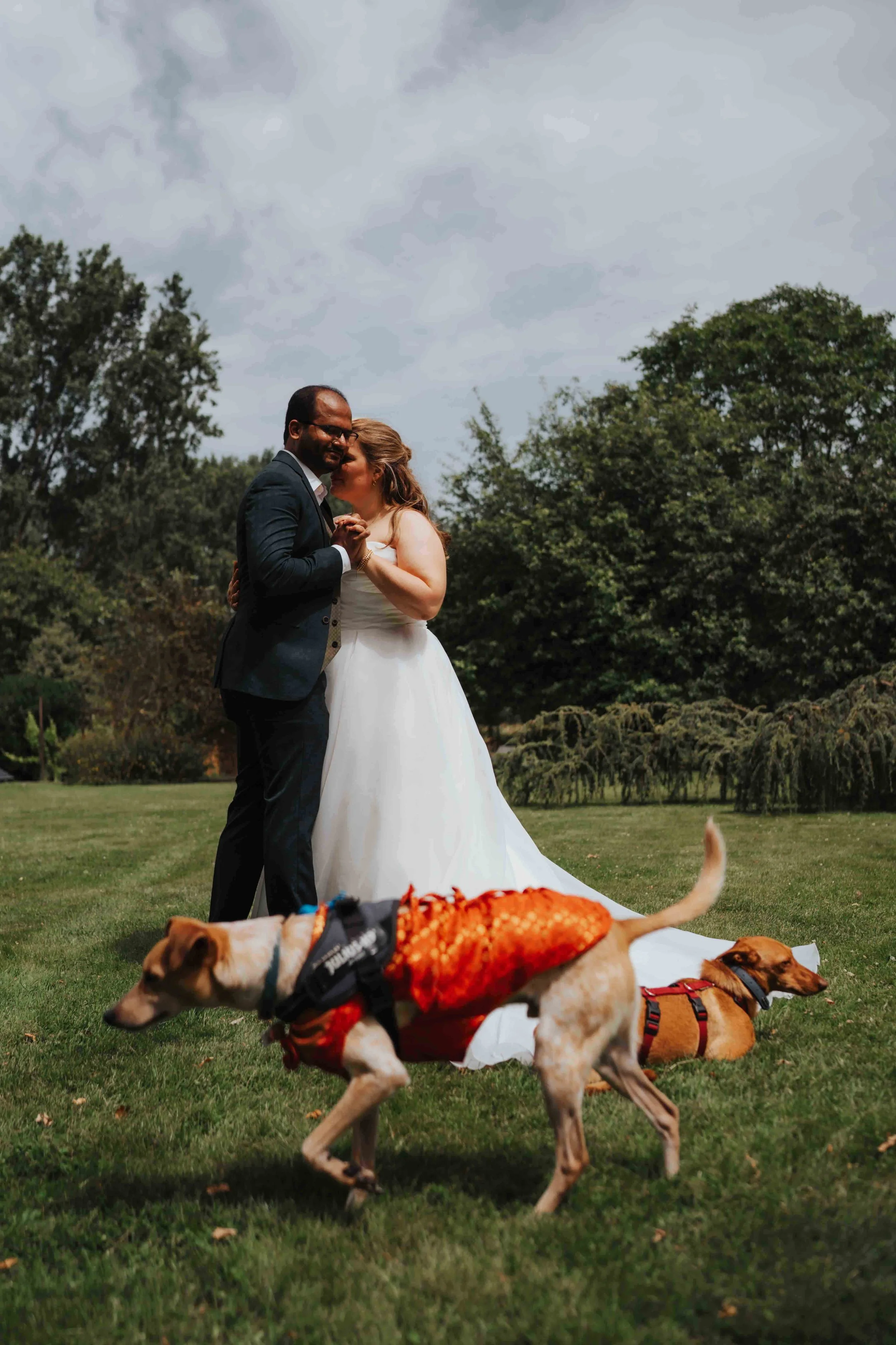 A bride and groom dancing outdoors on a grassy field, with two dogs nearby, surrounded by trees and under a cloudy sky.