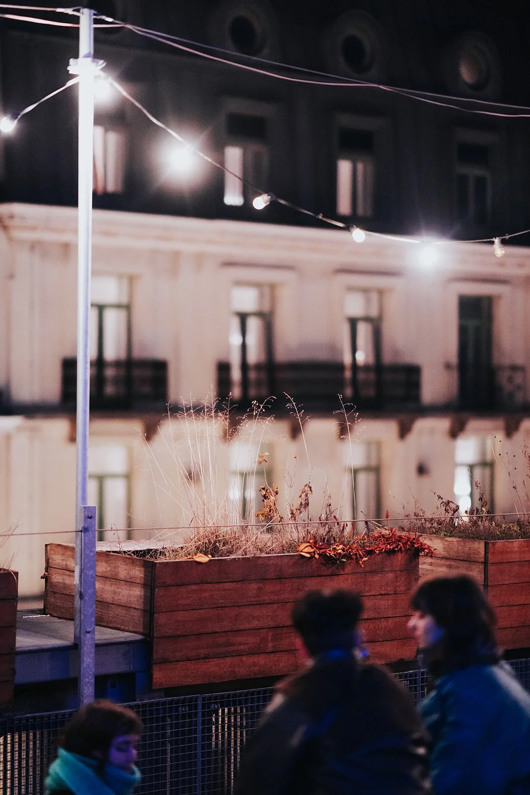 Night scene with string lights hanging above wooden planters with dried plants in front of a beige building with multiple windows.