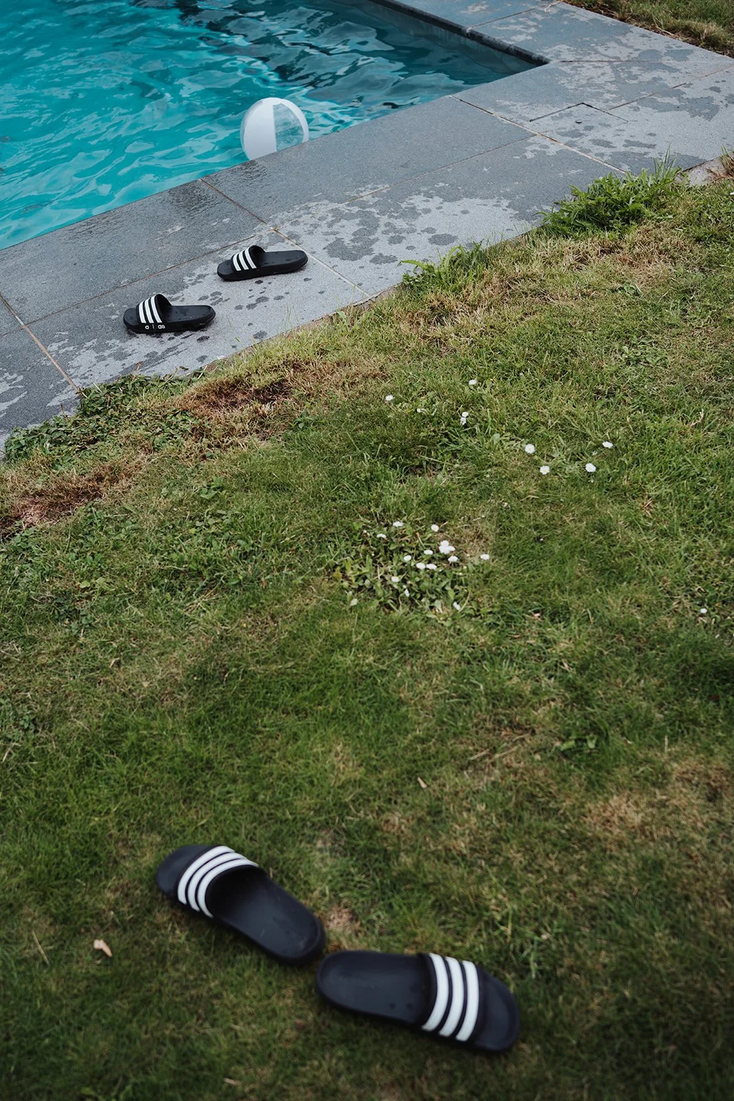 Pair of black and white striped slides on a grassy lawn near a swimming pool.
