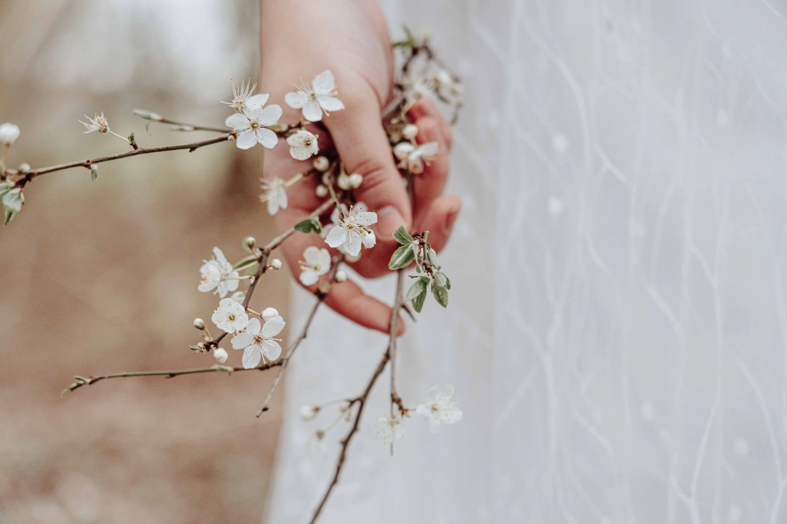 A person's hand holding a branch with white flowers and green leaves in front of her white textured lace wedding dress fabric.