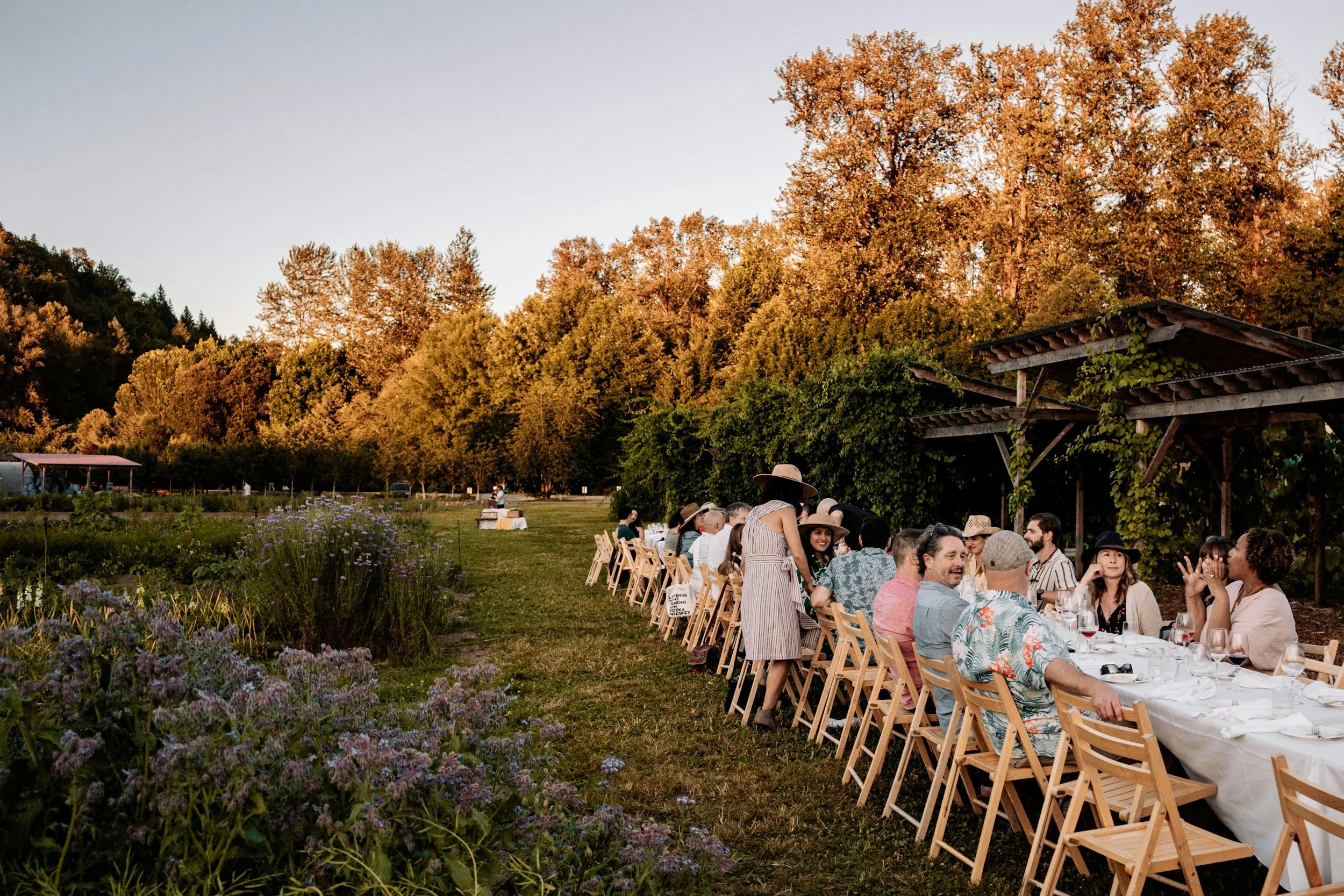 People gathering for an outdoor dinner in a scenic garden setting during sunset, seated along a long table with white tablecloths, surrounded by lush greenery and tall trees with orange leaves.