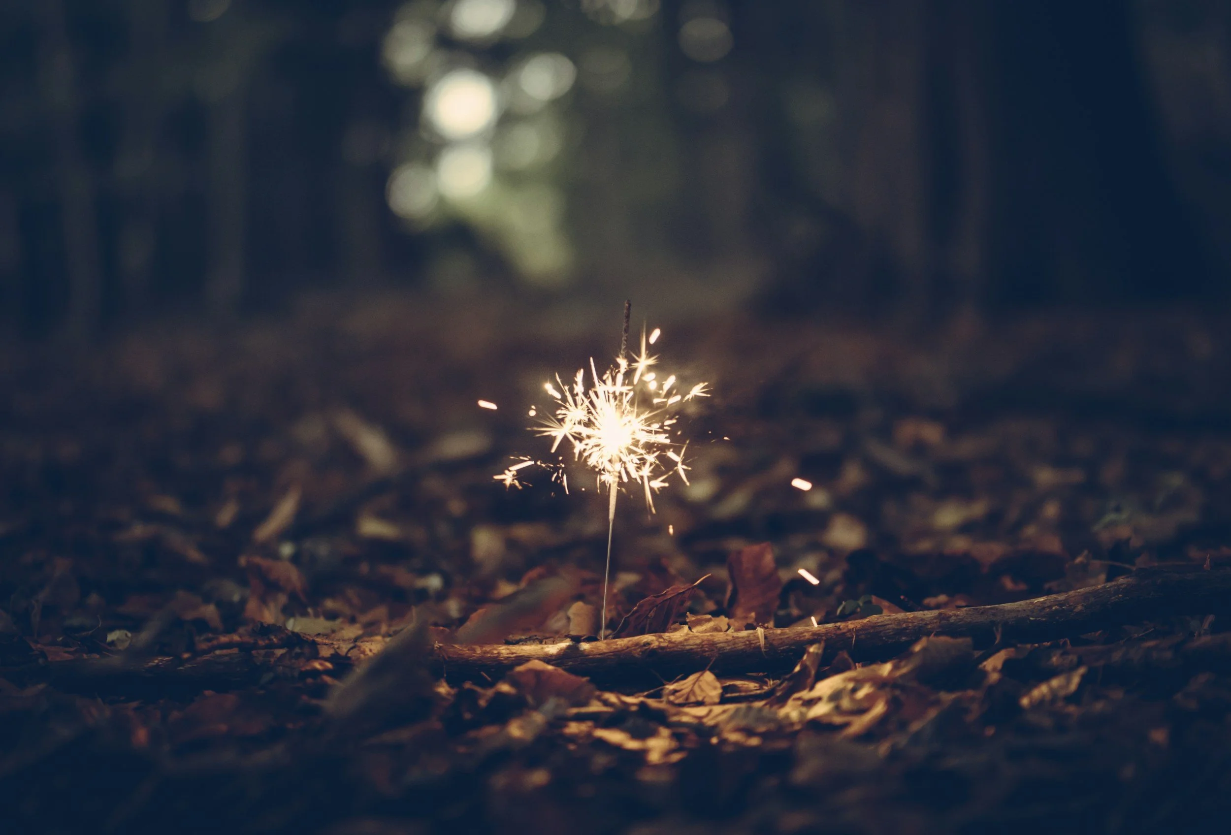 A lit sparkler on a forest floor covered with dry leaves and small twigs, with blurred trees and sunlight in the background.