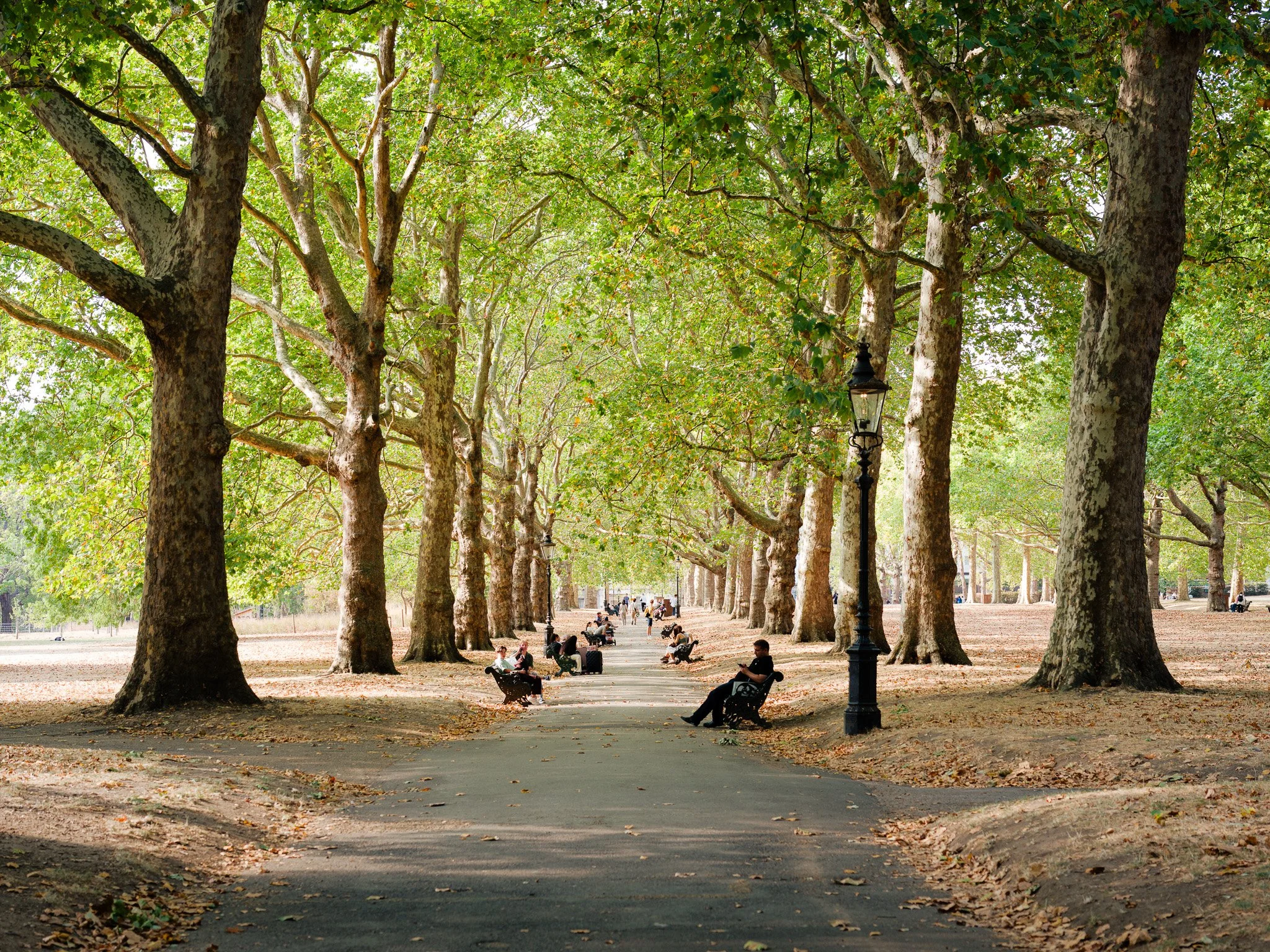 Green Park ~ Shot on Leica Q3 43