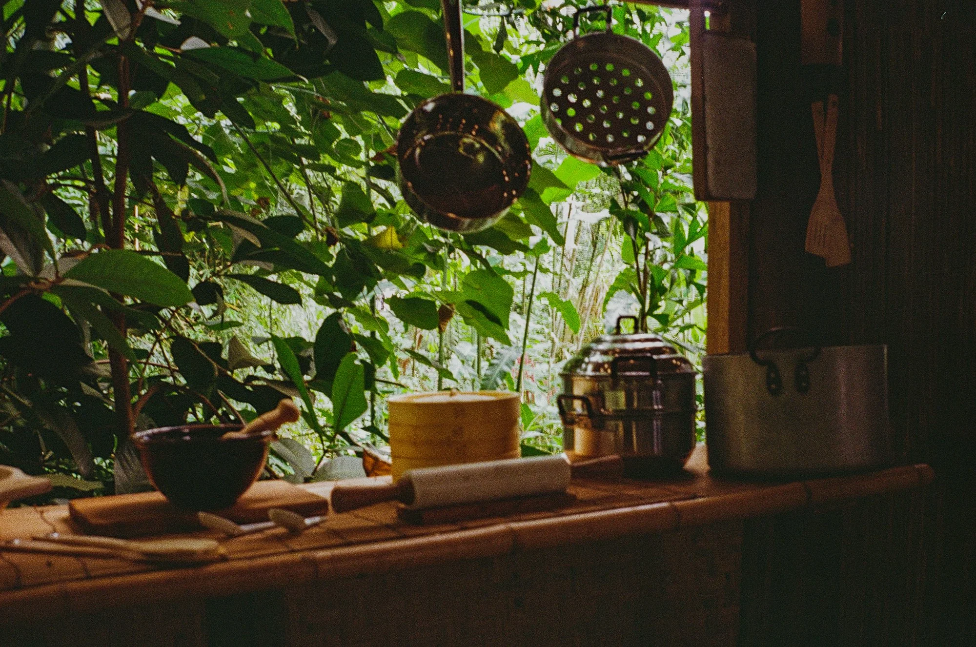 Shot on film with Contax T2