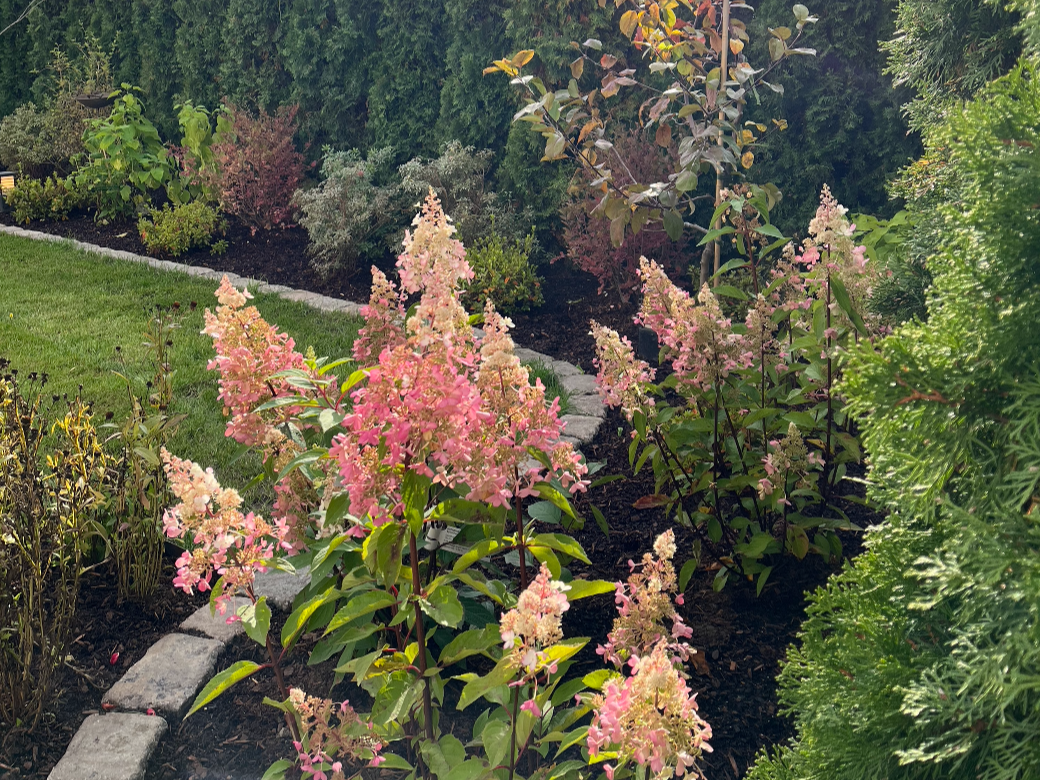 Detalj er fra prosjekt innen hagedesign. Zen-hagen er inspirert av japansk hagestil, der materialpaletten er hentet fra Skandinavia. Busker og stauder. 