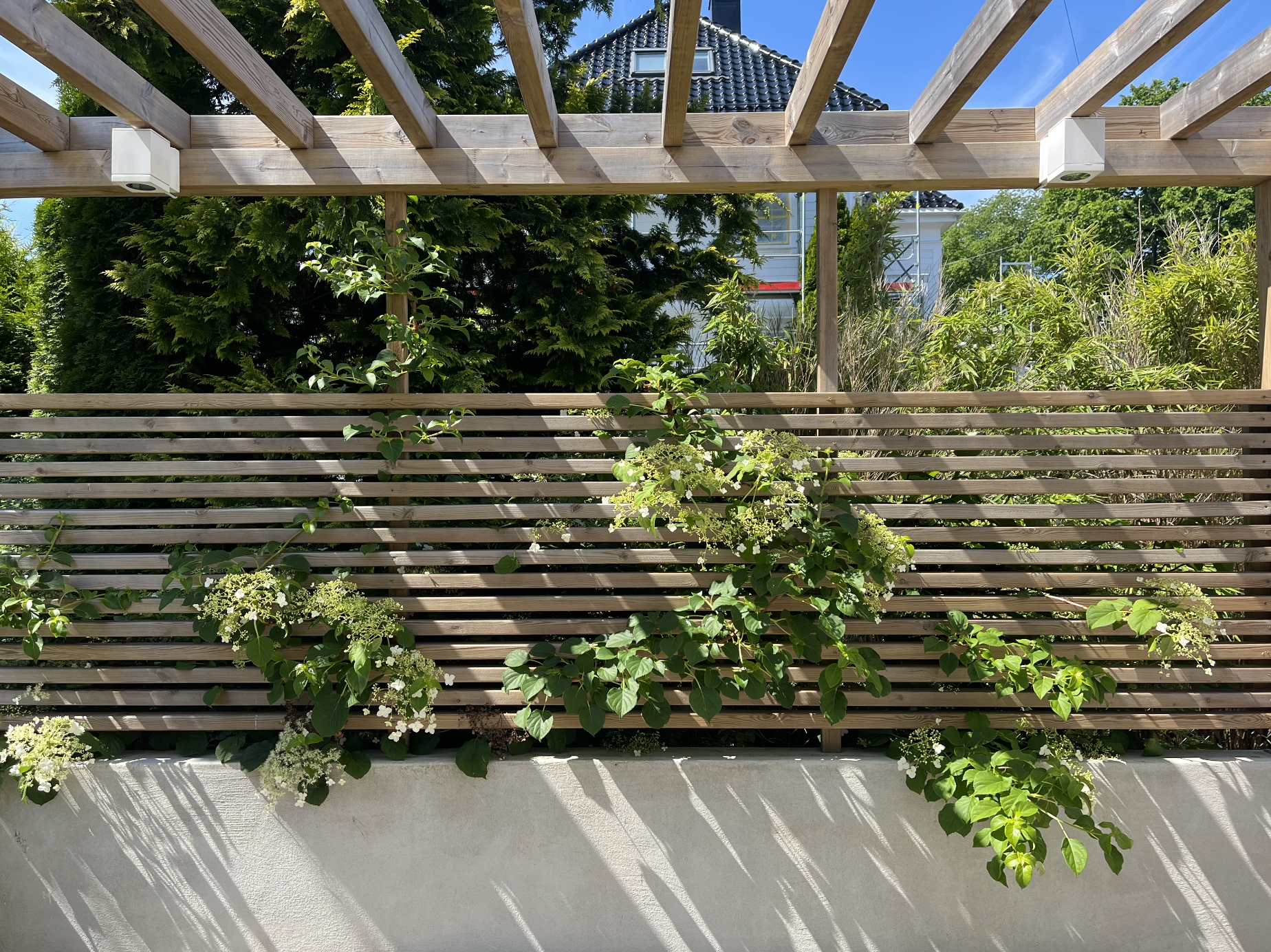 Detalj er fra prosjekt innen hagedesign. Pergola i tre, mur og vegetasjon gir et stilrent og innbydende uttrykk.