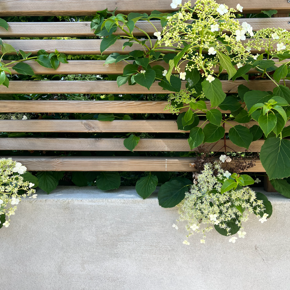 Detalj er fra prosjekt innen hagedesign. Kombinasjonen av tre, mur og vegetasjon gir et stilrent og innbydende uttrykk.