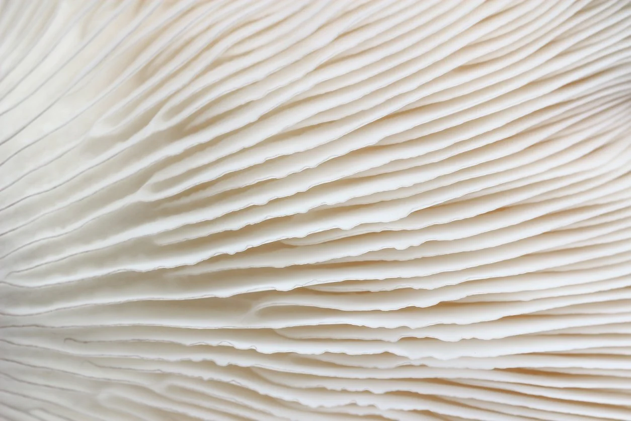 Modern and romantic wedding stationery