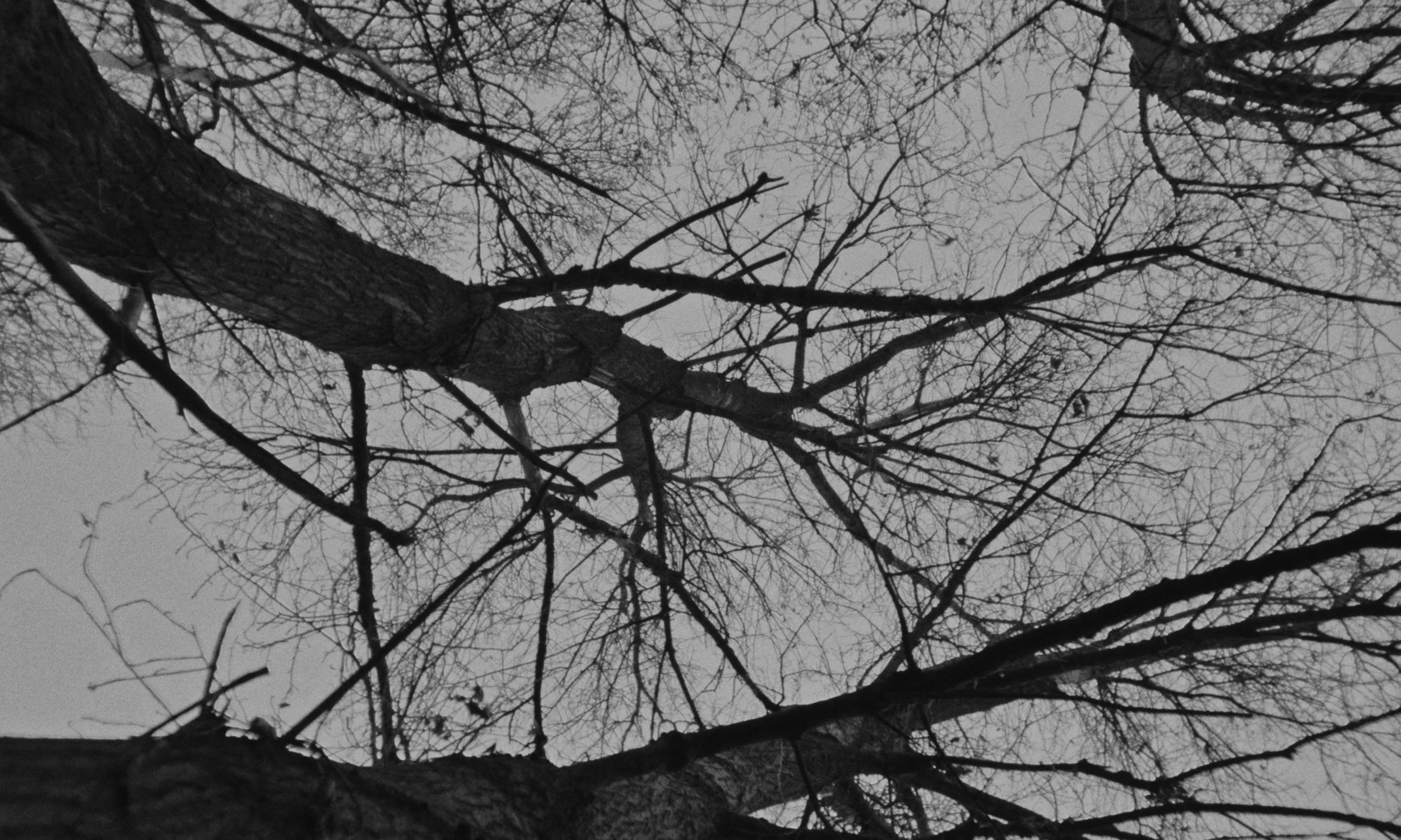 A005C012_120101_R0QF.mov_1.22.2.jpg