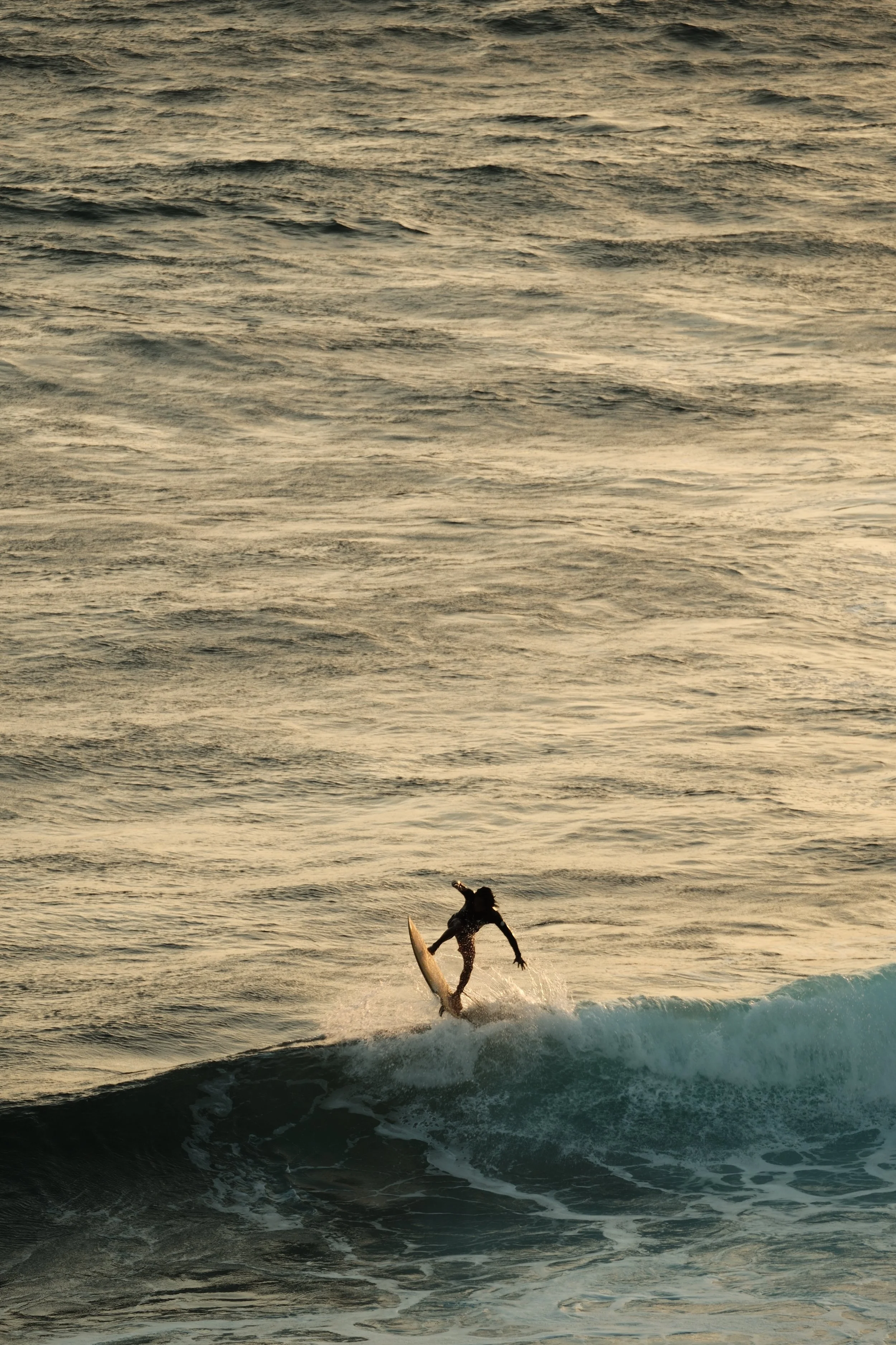 4E1635EB-DDD3-4781-8FFF-2915E1234761-3836-000001DCC0467231 2.JPG