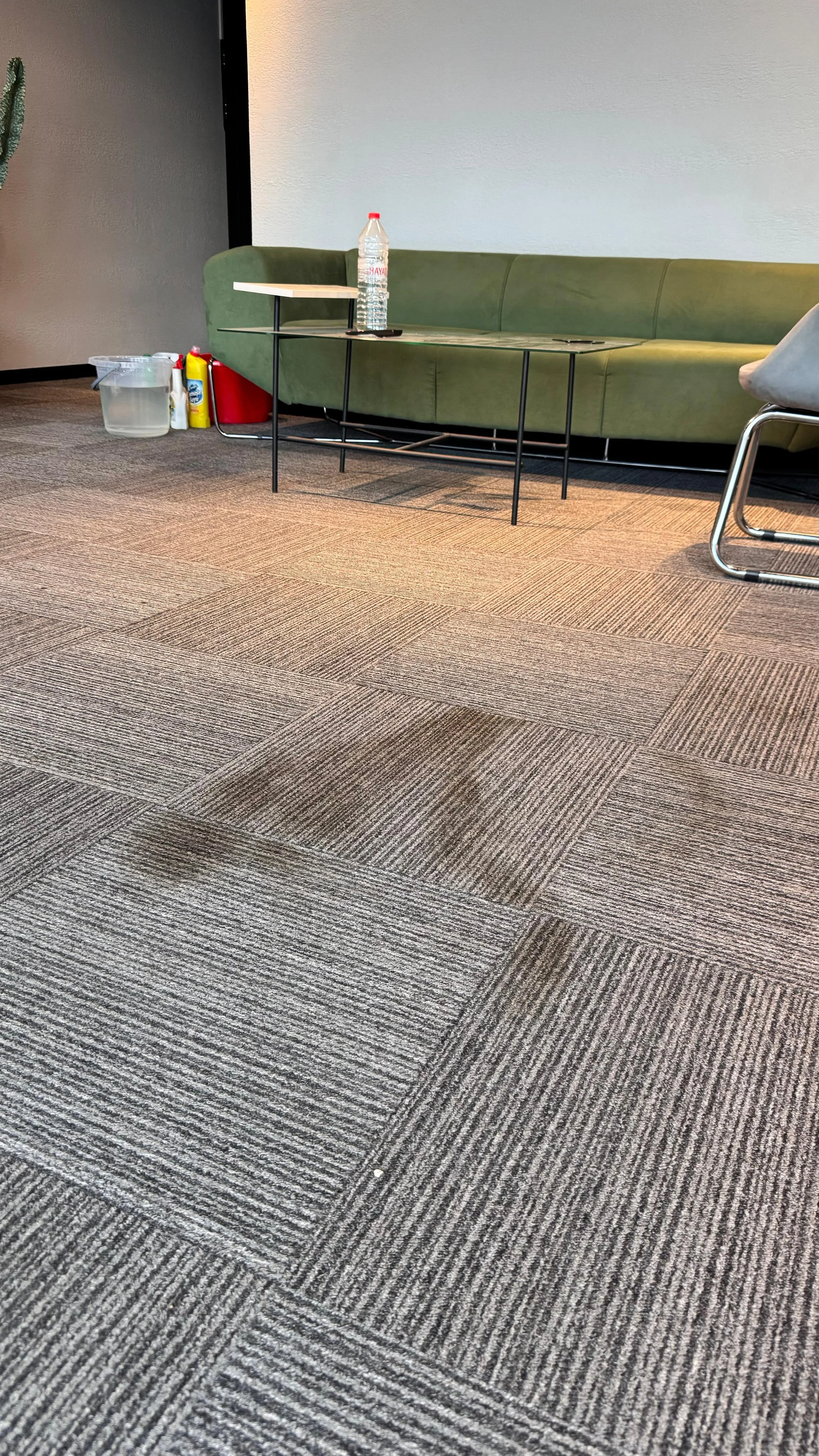 WhatsApp Image 2026-01-18 at 16.44.30.jpeg