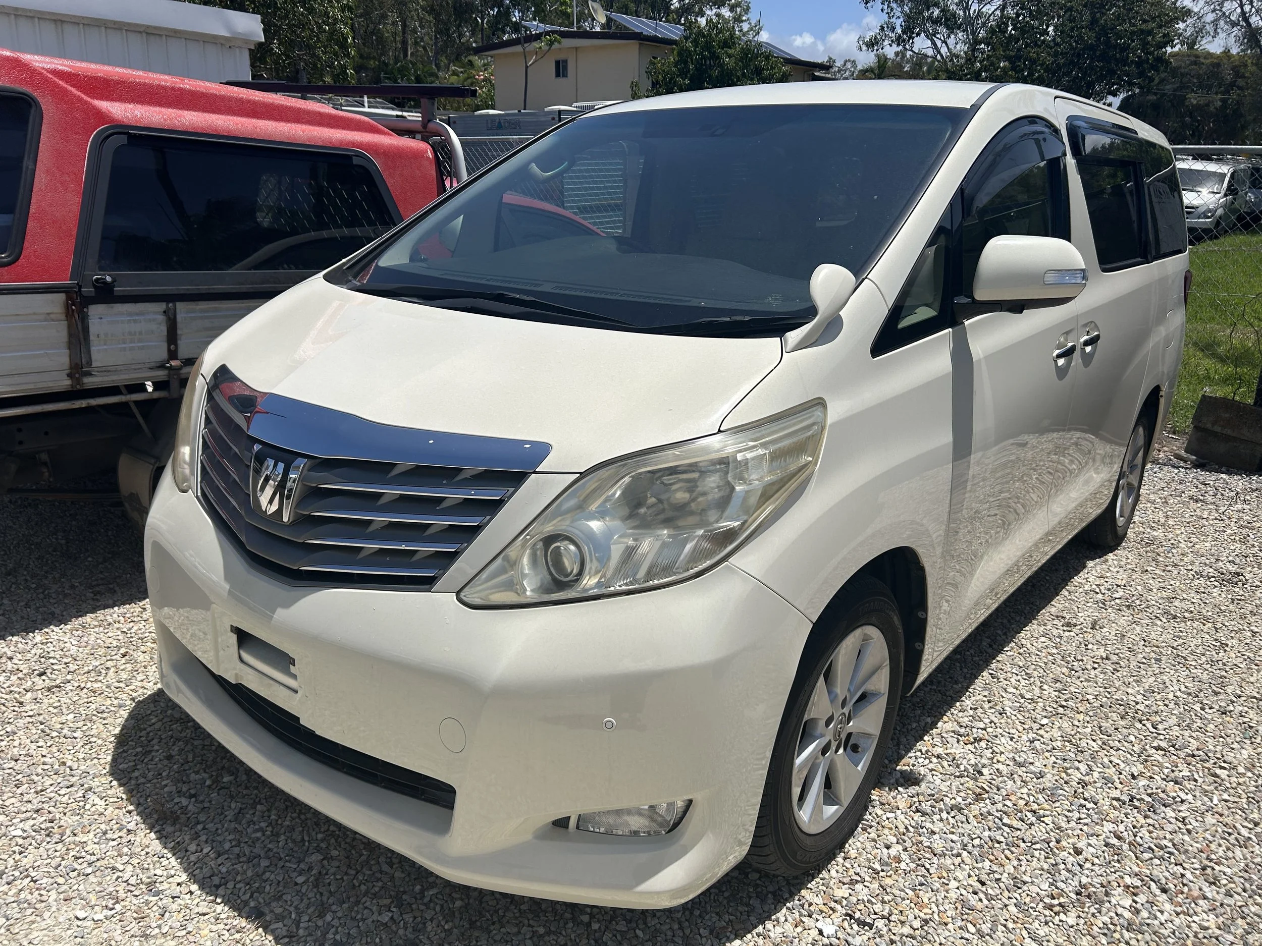 2010 White Alphard.jpg