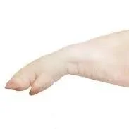 Pock+Hock.jpg