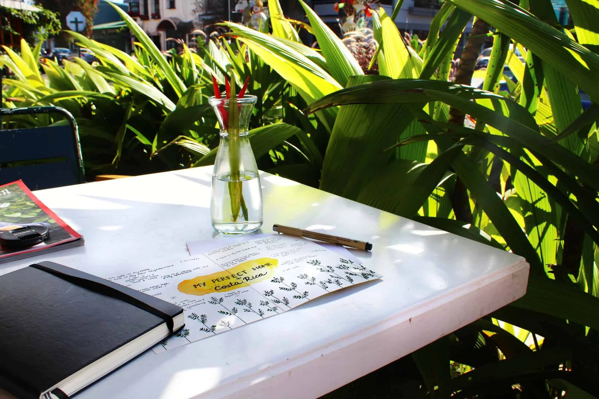 How I used the Law of Attraction to manifest my perfect home in Costa Rica