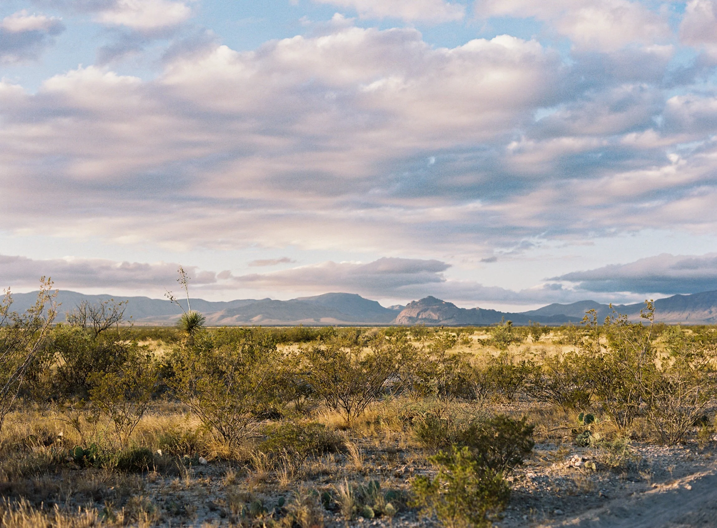 A desert landscape with sparse bushes and cacti, distant mountains, and a sky with scattered clouds.