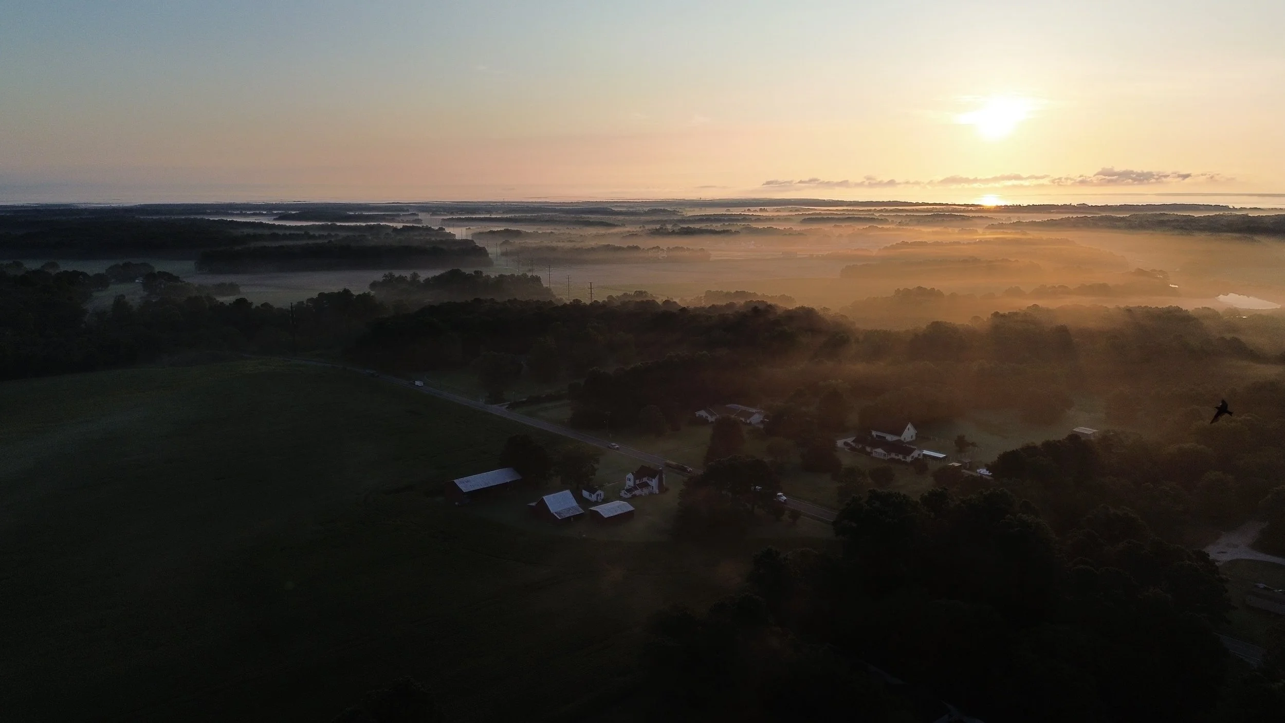 Our Delmarvalous land