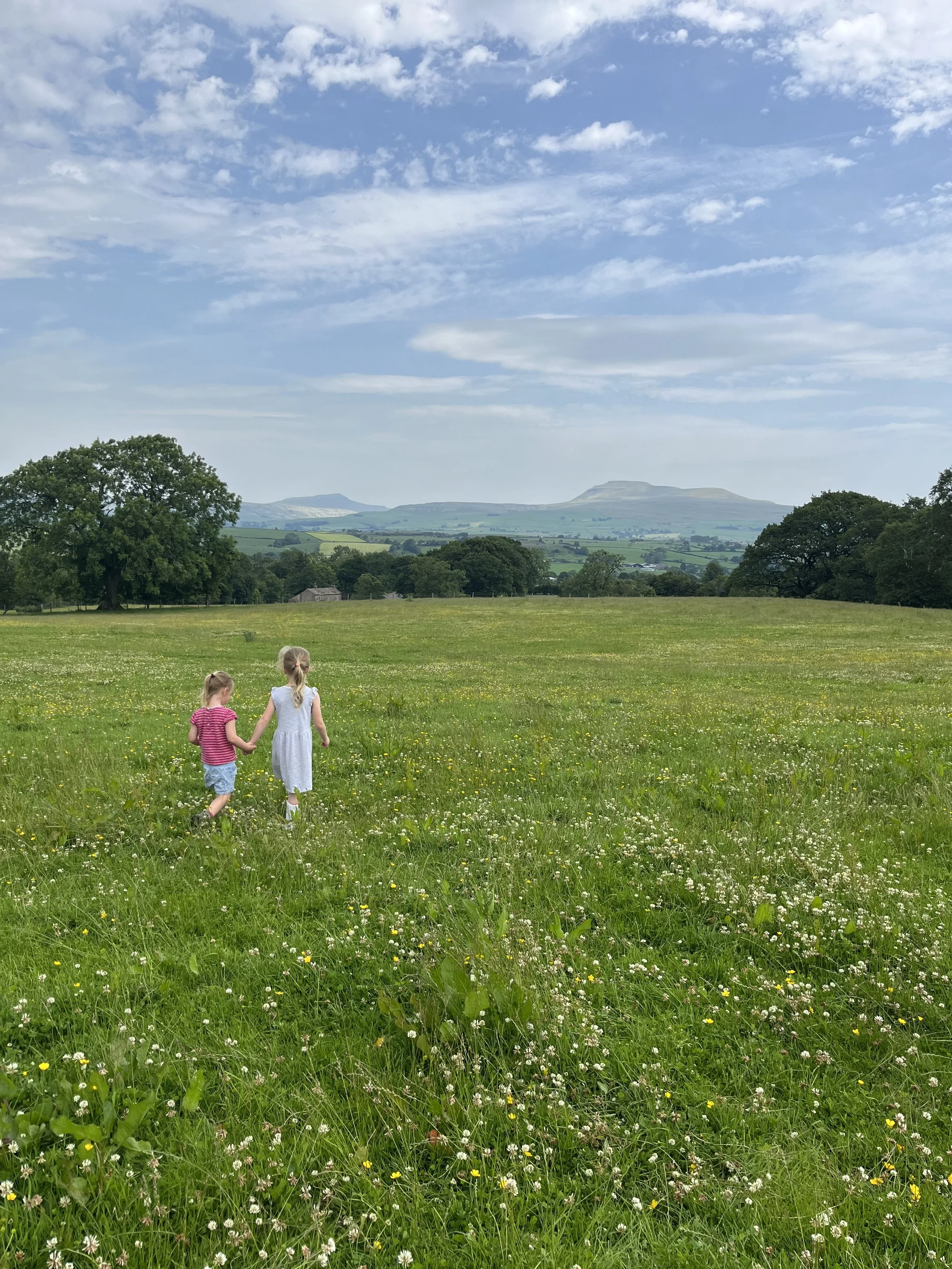 Summer in the Yorkshire Dales: Wildlife, Walks and Long Evenings