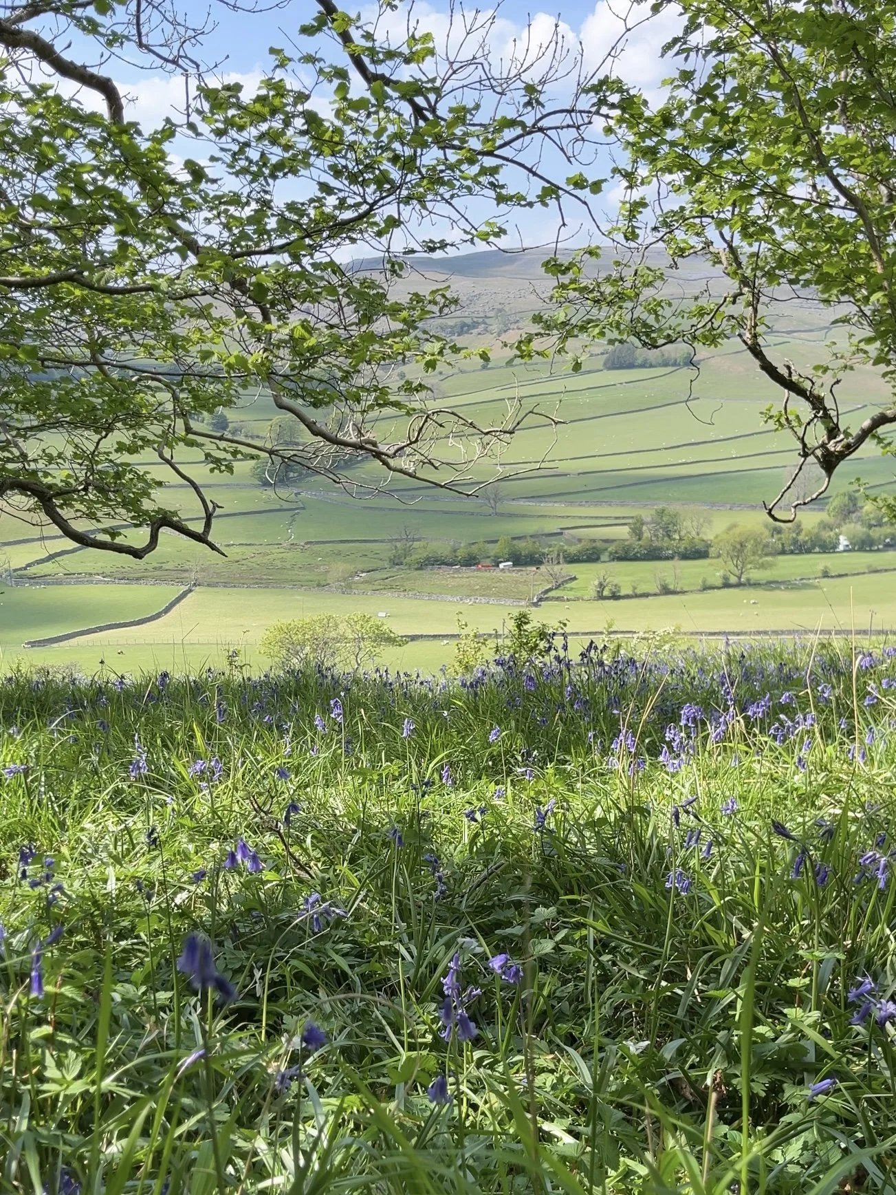 The Ultimate 7-Day Yorkshire Dales Itinerary