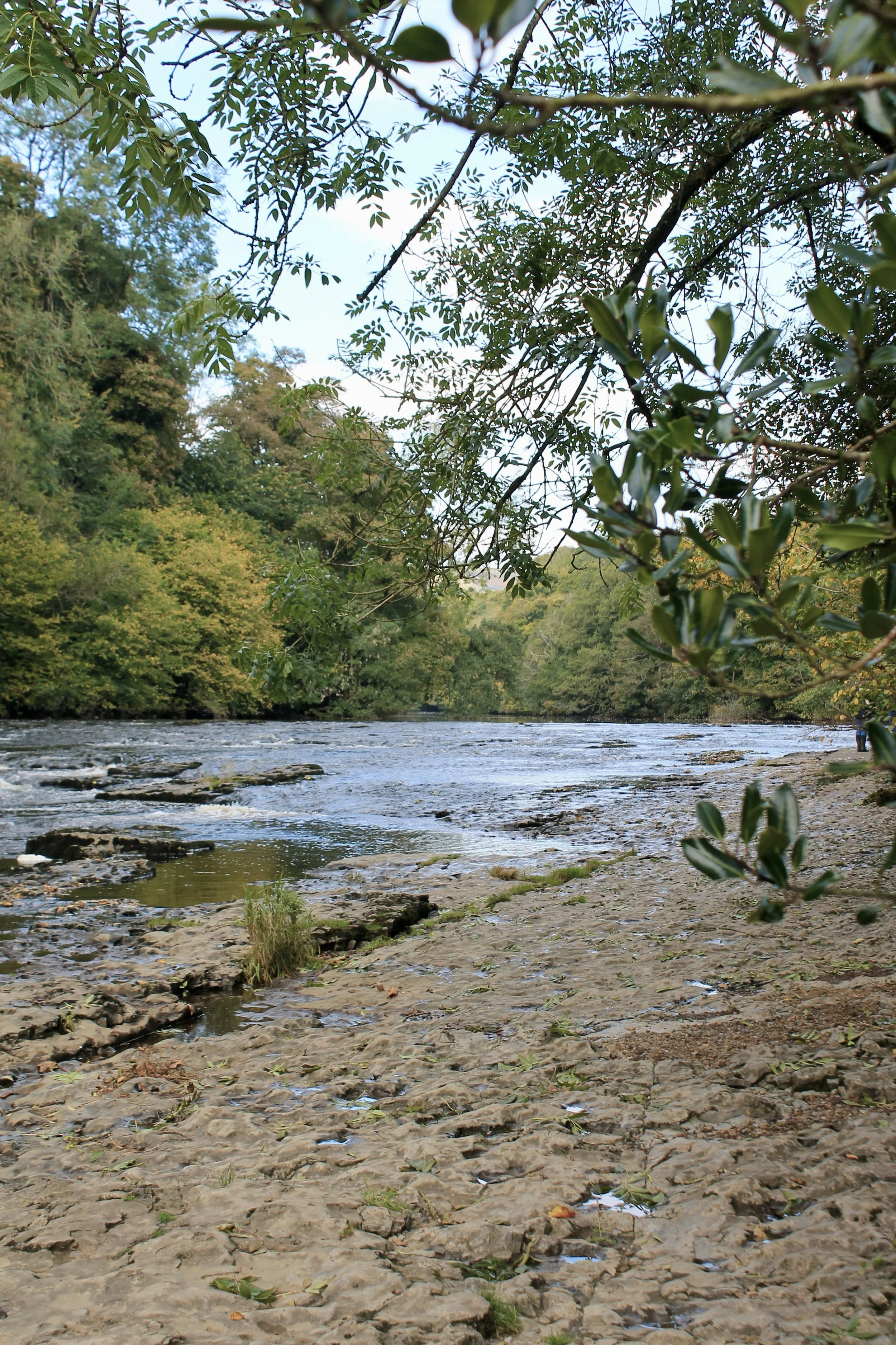 Best Picnic Spots in the Yorkshire Dales