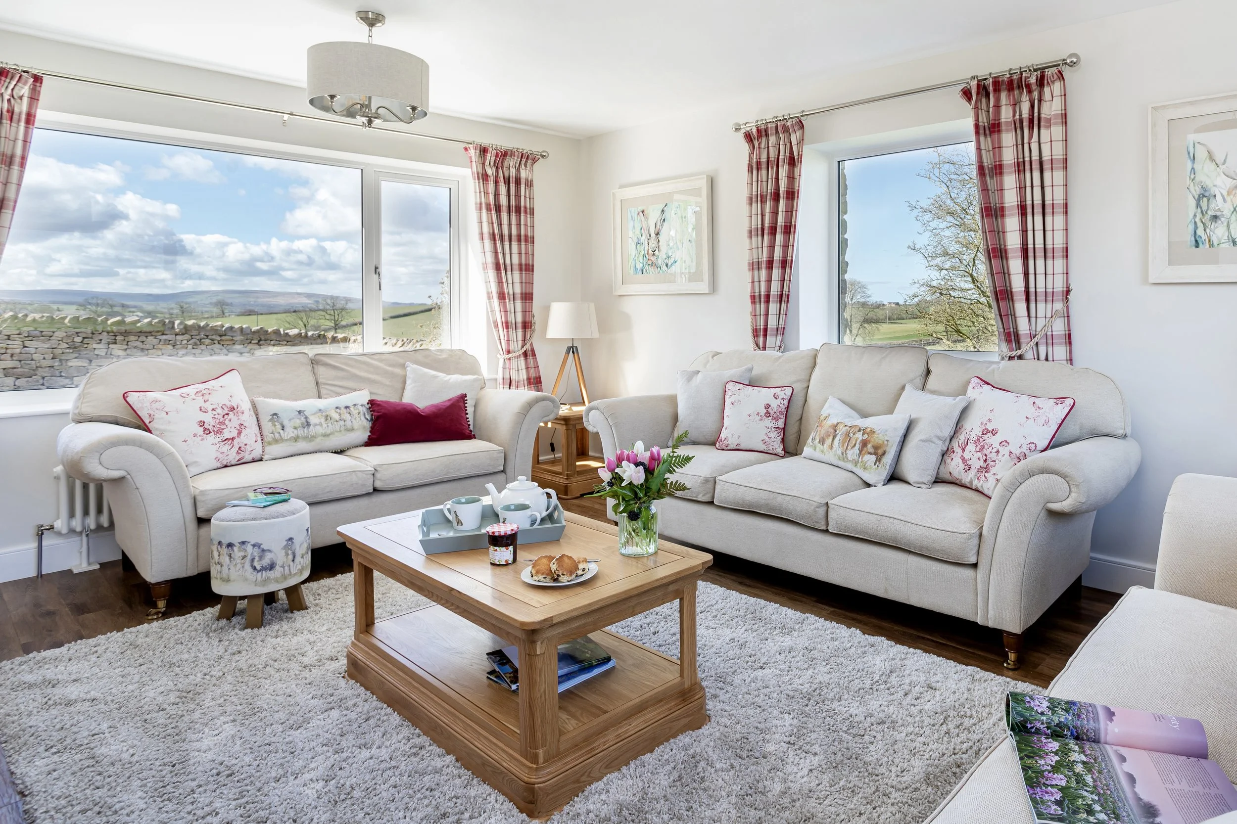 Living room with LVT flooring and large rug