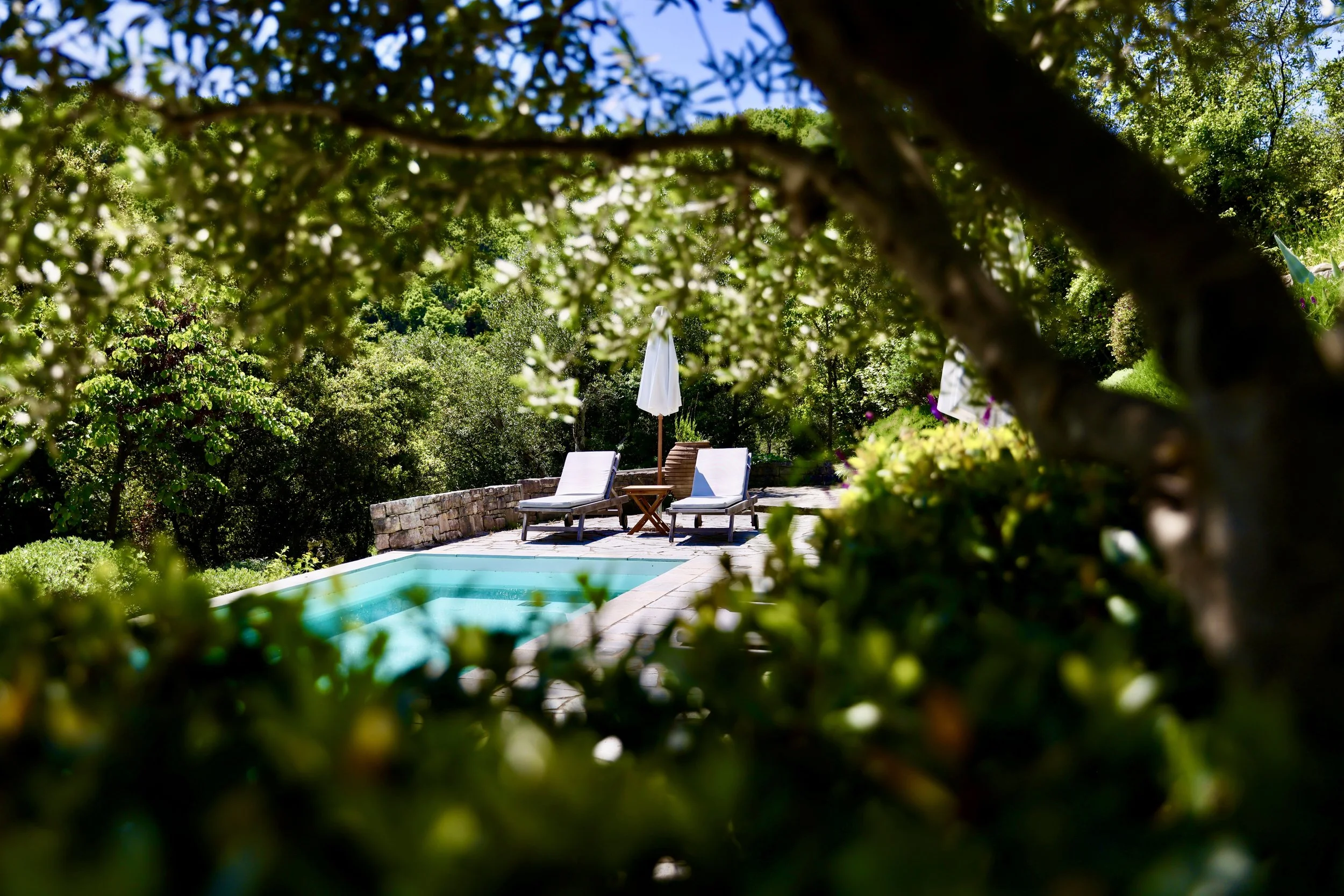 Professional garden and outdoor spaces photography