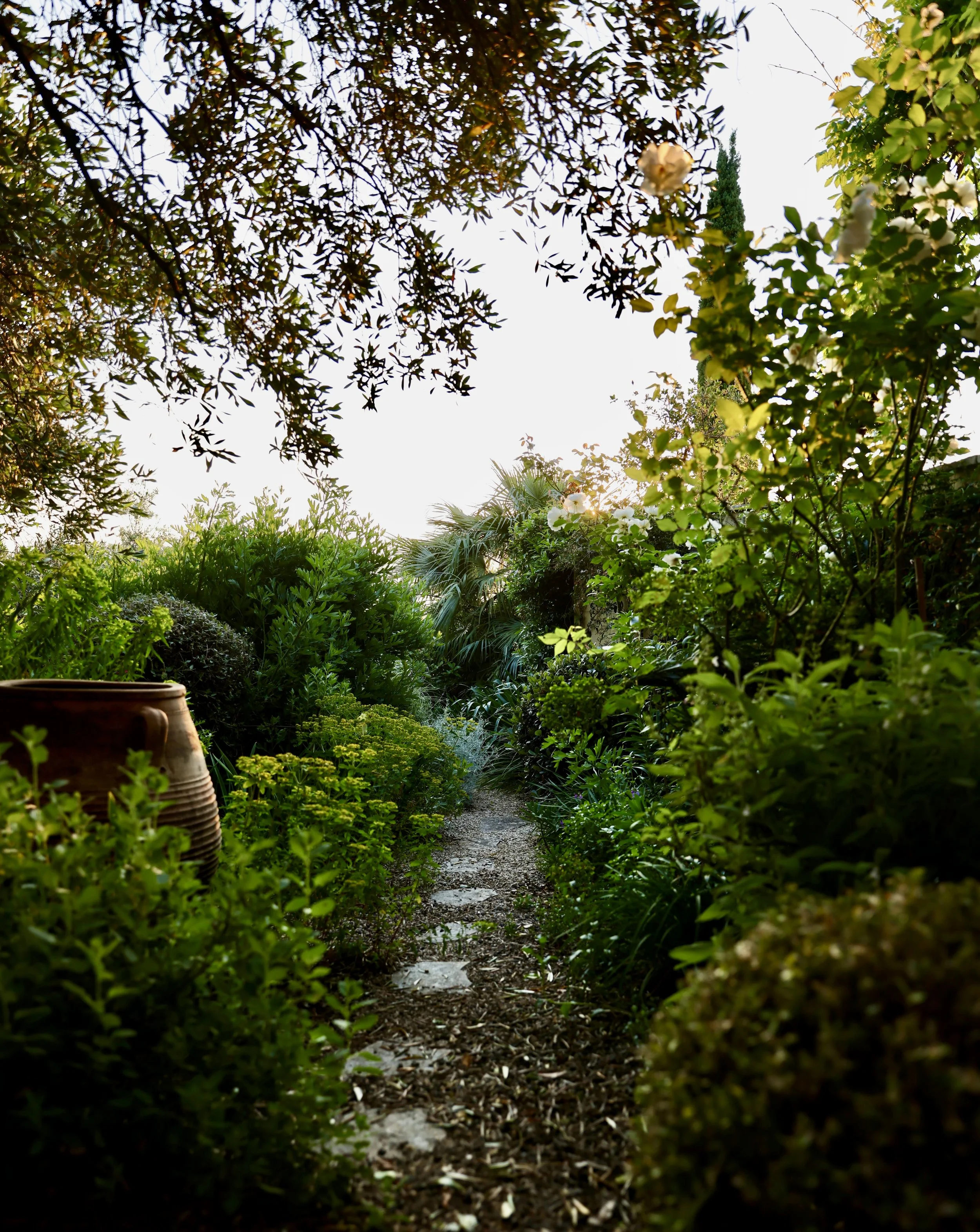 Professional garden and outdoor spaces photography