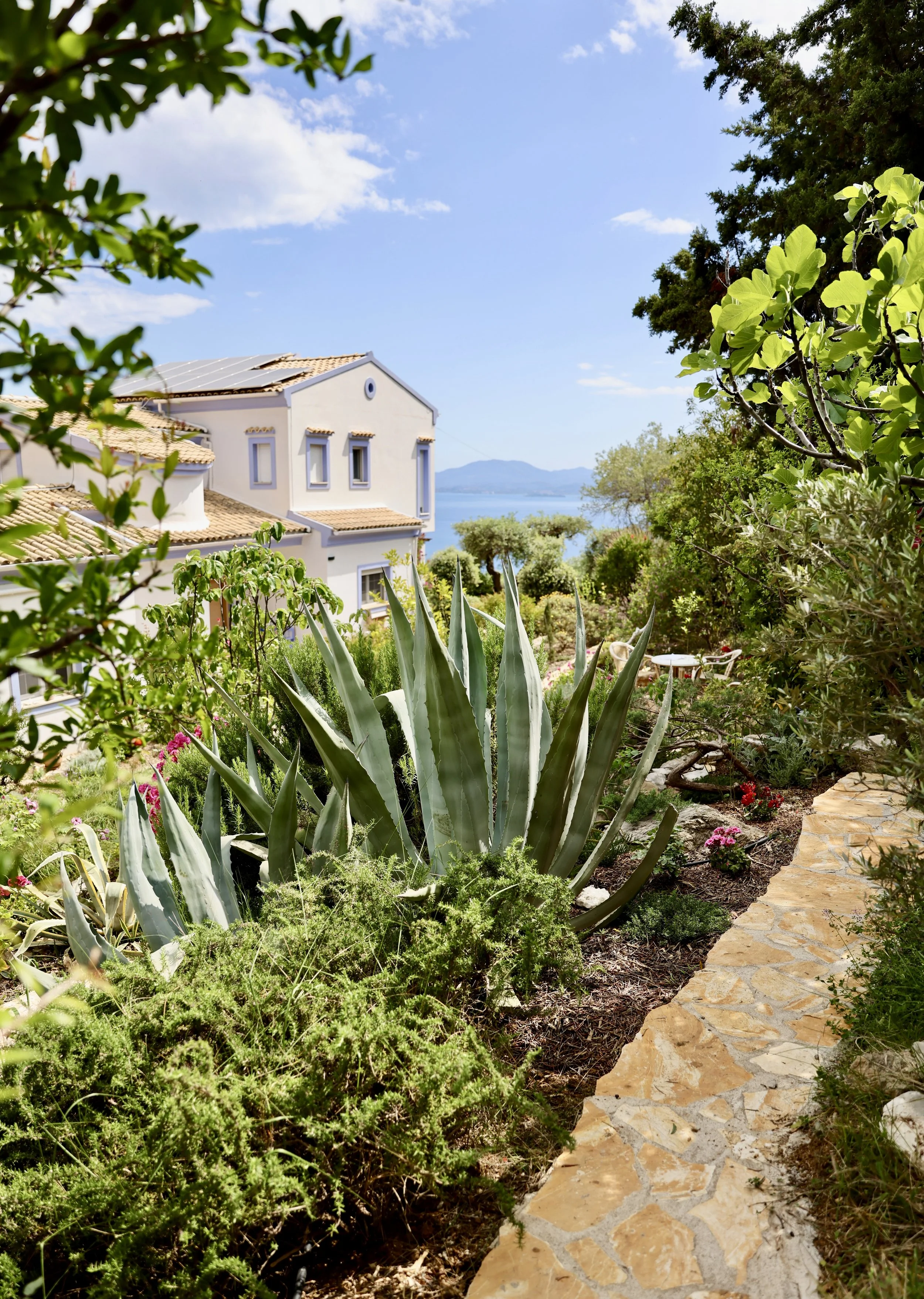 Professional garden and outdoor spaces photography