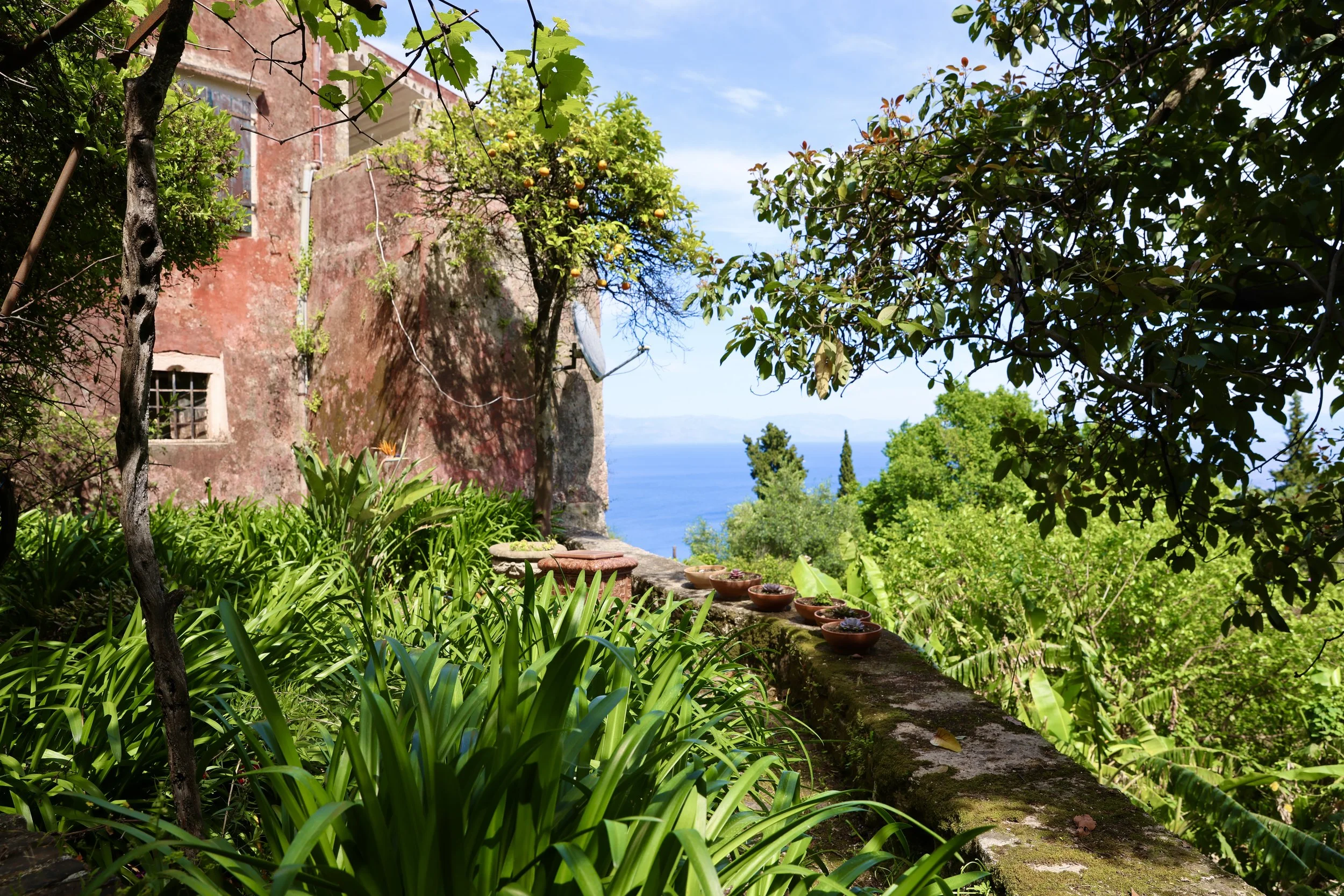 Professional garden and outdoor spaces photography