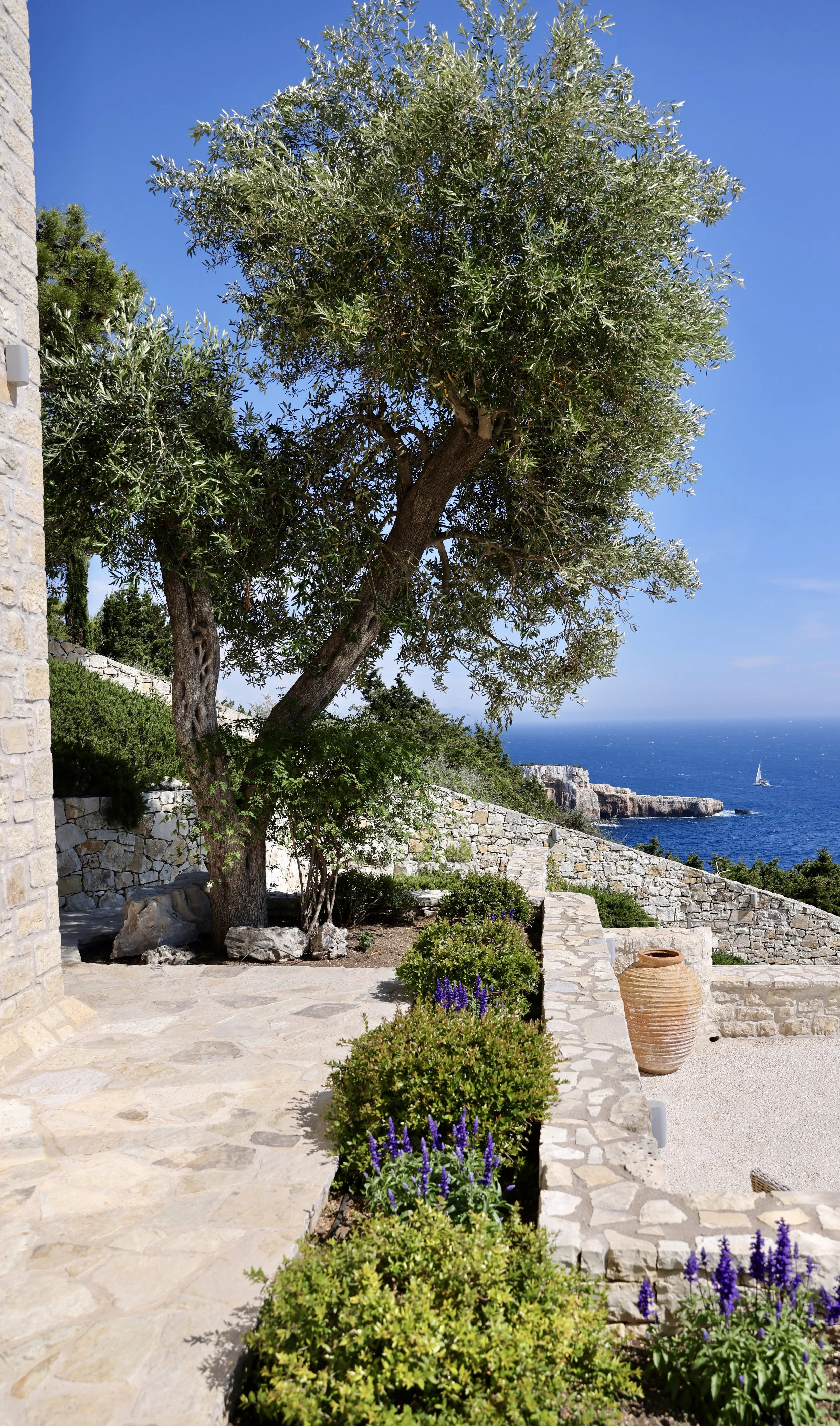Professional garden and outdoor spaces photography