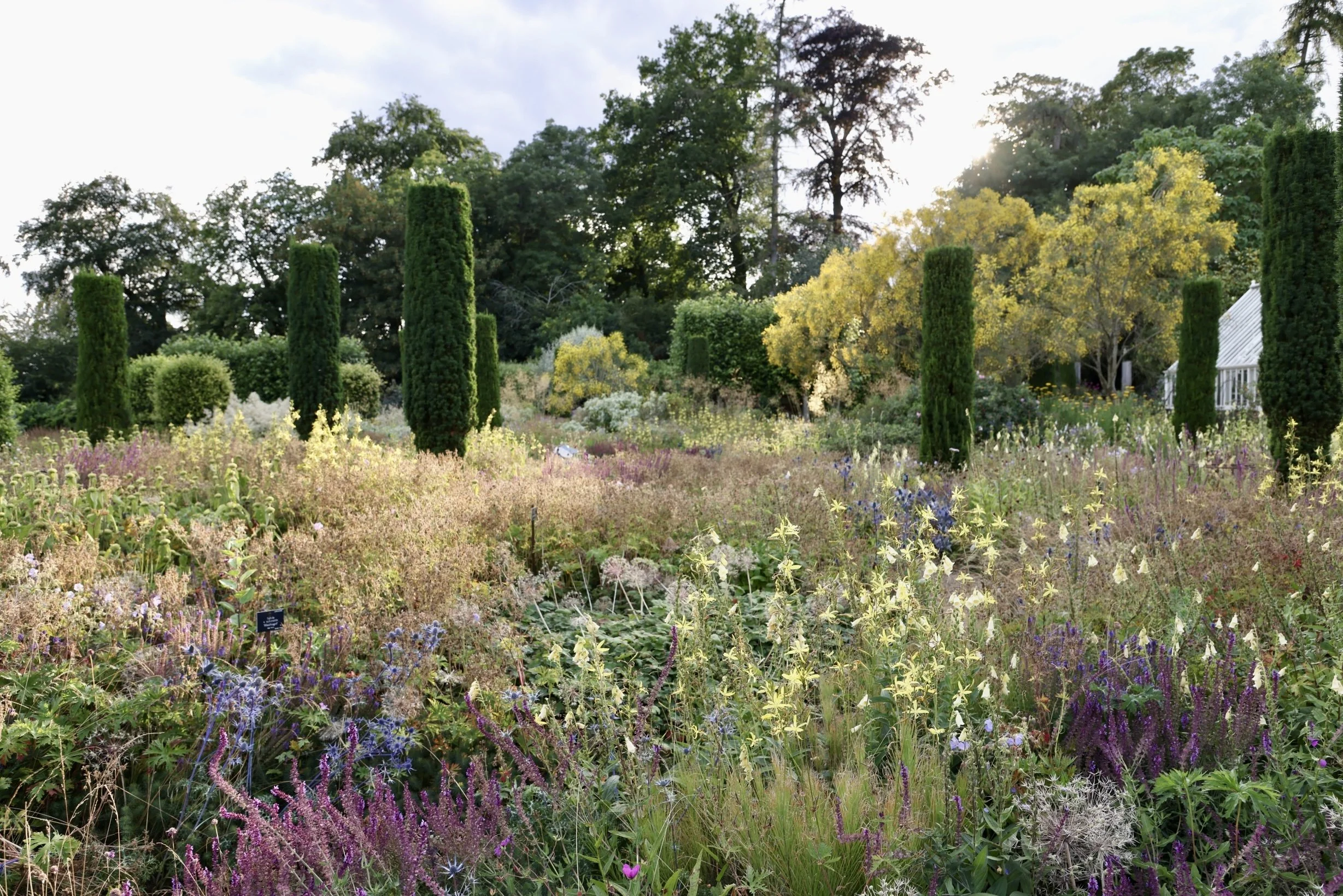 Professional garden and outdoor spaces photography