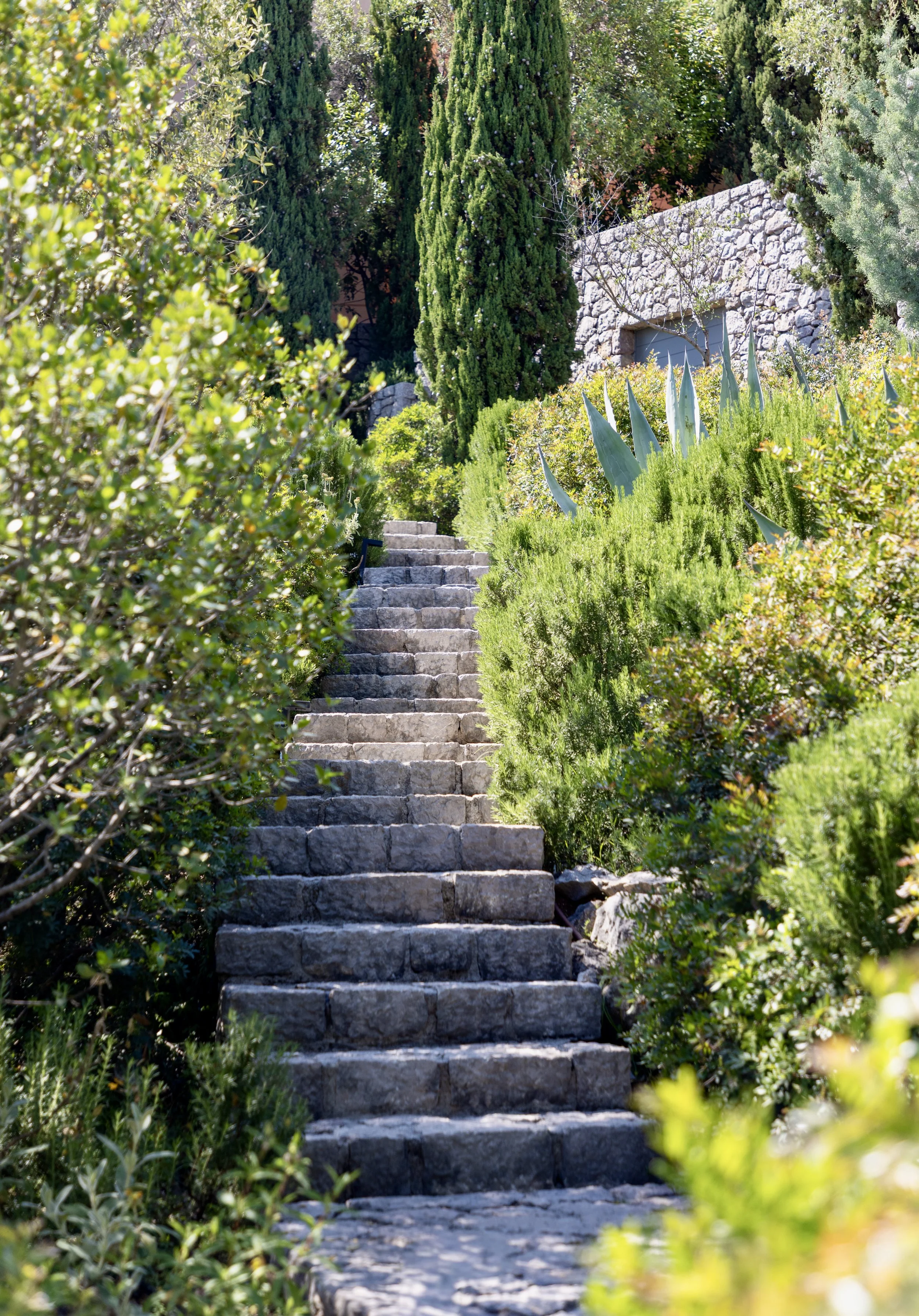 Professional garden and outdoor spaces photography