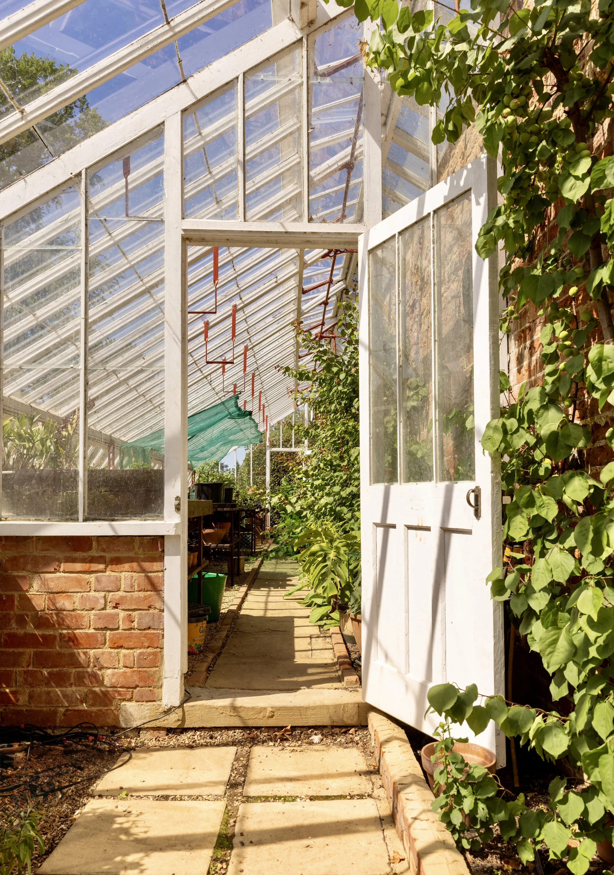 Professional garden and outdoor spaces photography