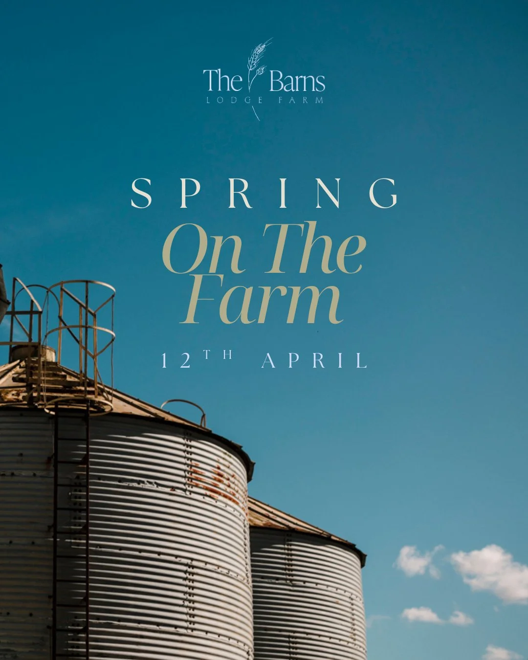 🌼 One month to go&hellip; Spring On The Farm is back! 🌼

Join us on Sunday 12th April (11am&ndash;3pm) for a relaxed day celebrating the start of spring at the farm. Bring the family, enjoy the countryside, and soak up the fresh spring air.

✨ What