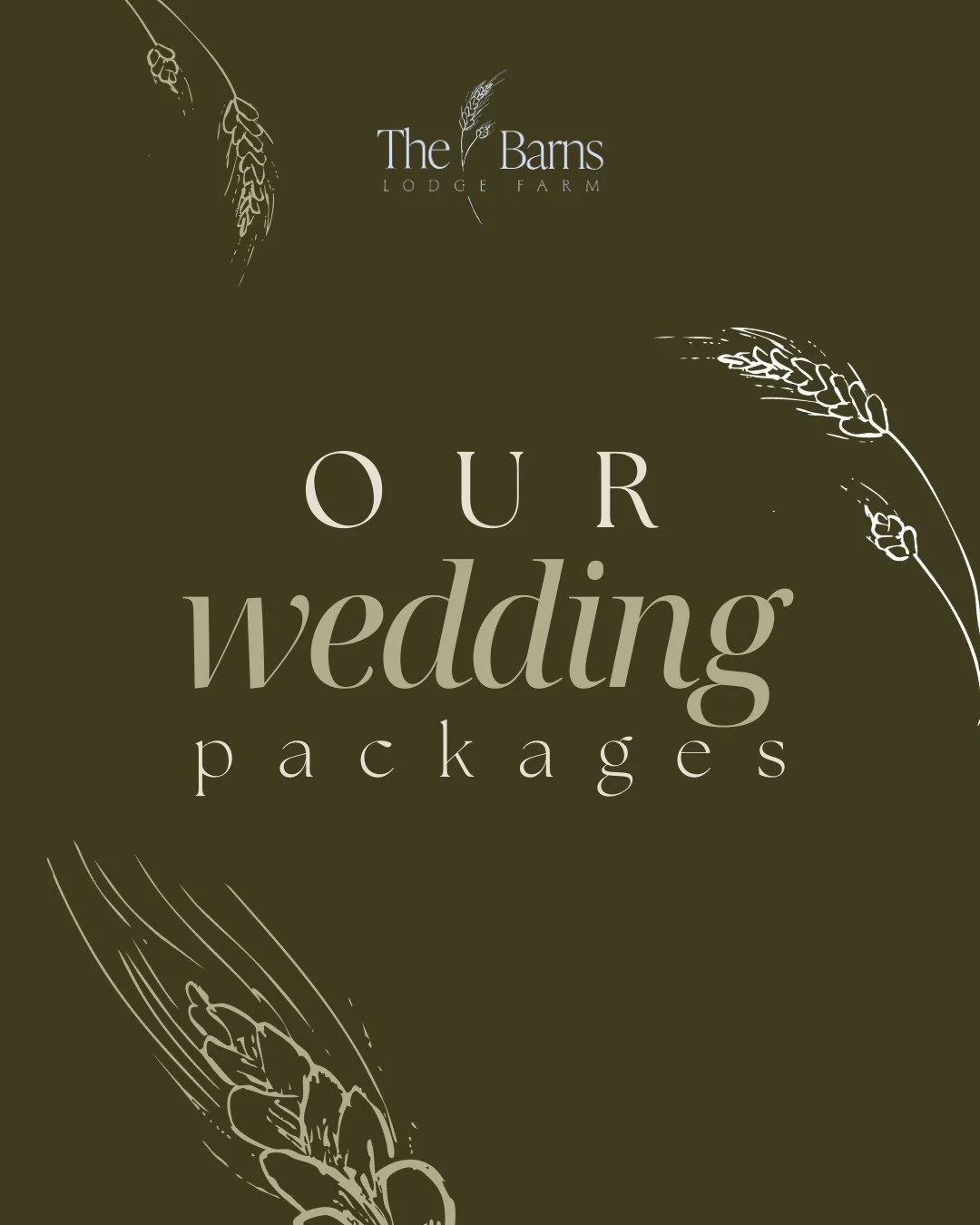 At The Barns at Lodge Farm, we offer three simple wedding packages to suit your style, budget, and vision ✨

Our three thoughtfully designed wedding packages; Intimate Weddings, One-Day Weddings, and Two-Day Weddings, allow you to celebrate in a way 