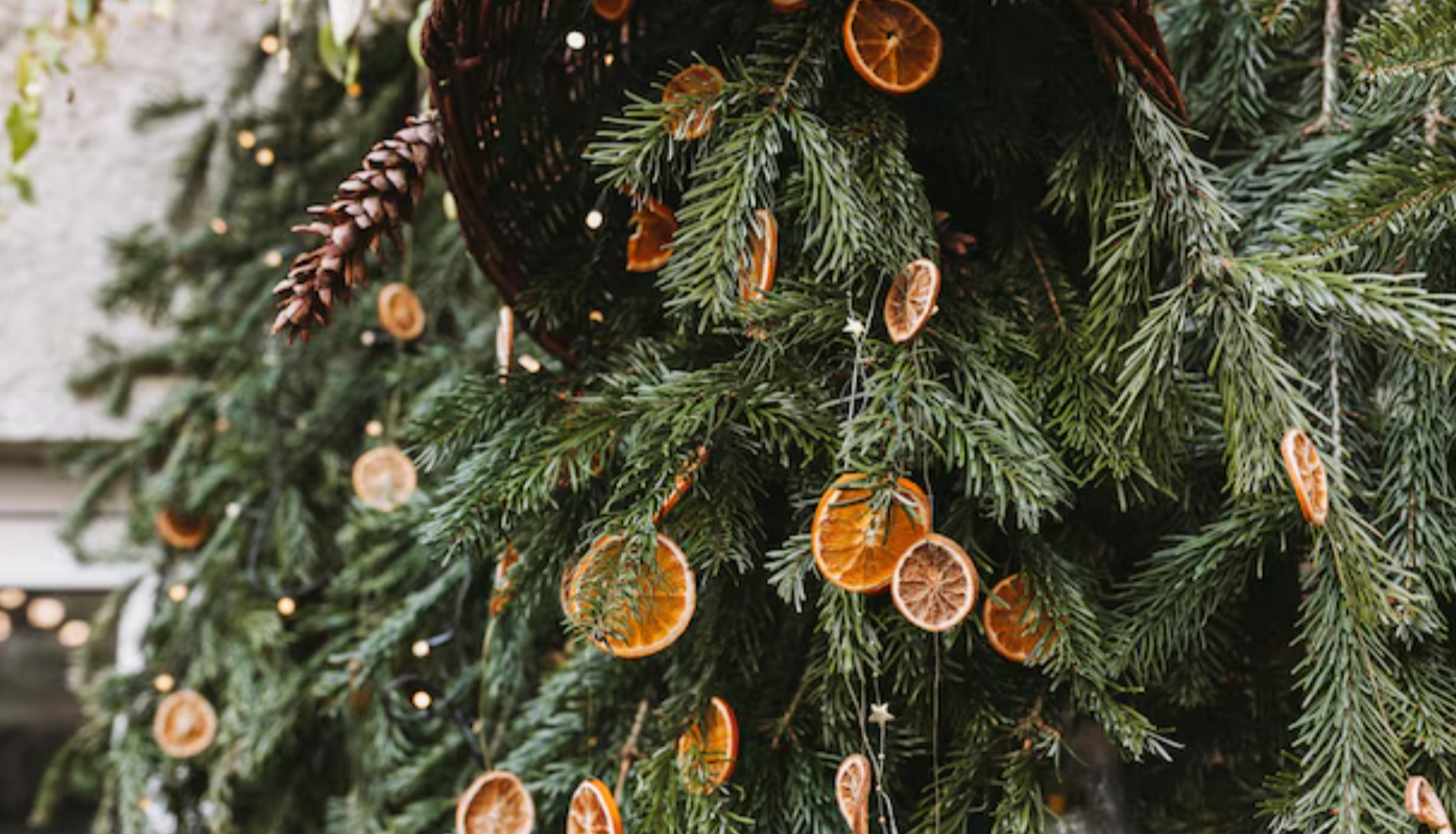 Christmas at The Barns | Saturday 5th December