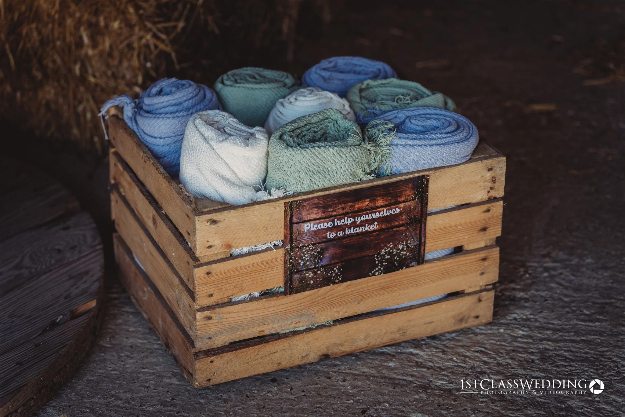 Lauren and Lynden-Colour-1038.jpg