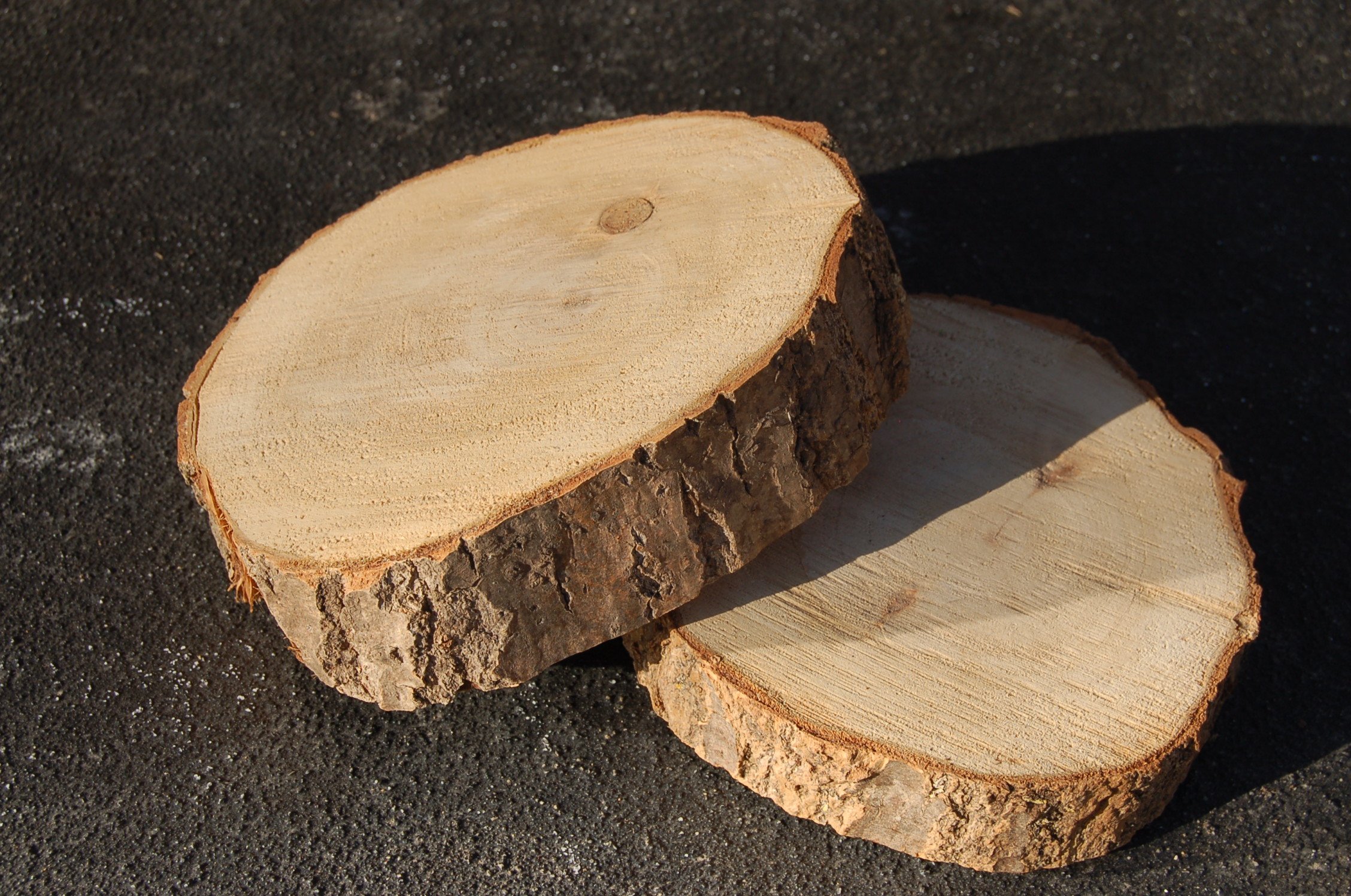 Log slices | £3.00 | 27 available 