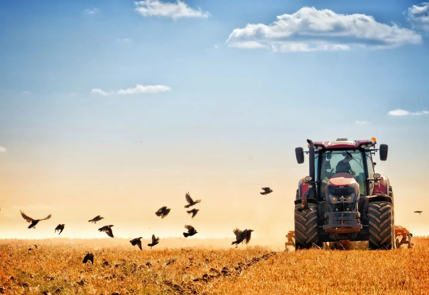 Spring On The Farm | Sunday 12th April