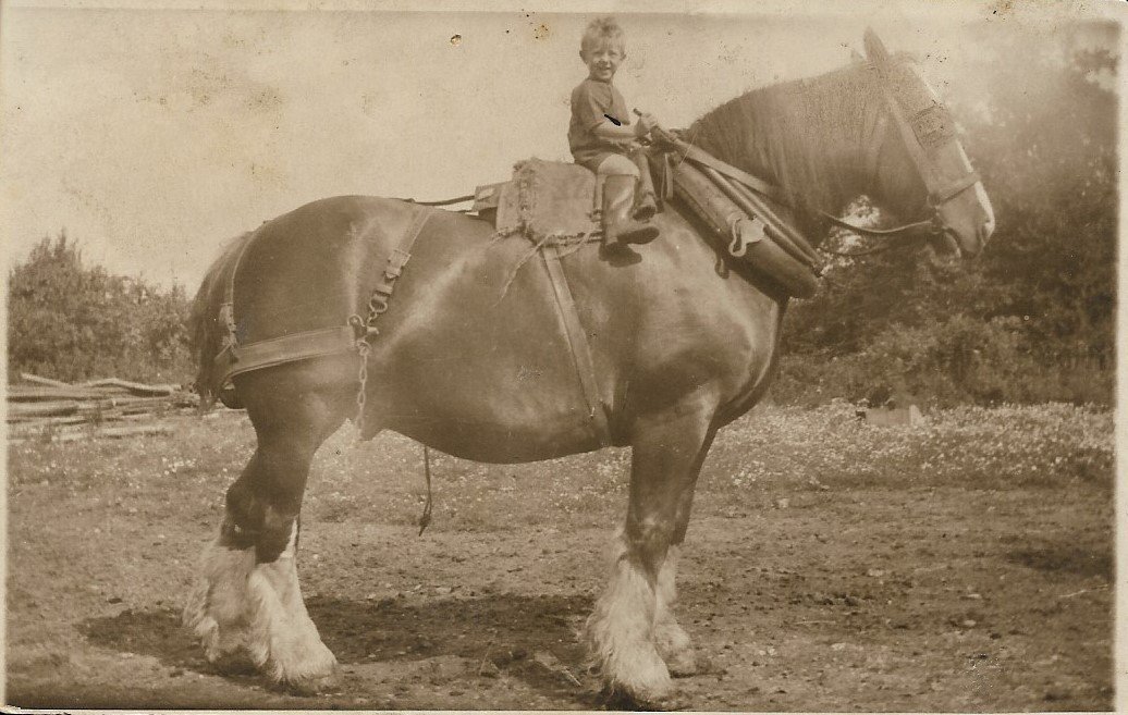 A young child sitting on a large horse with a rough saddle and harness in a rural outdoor setting.