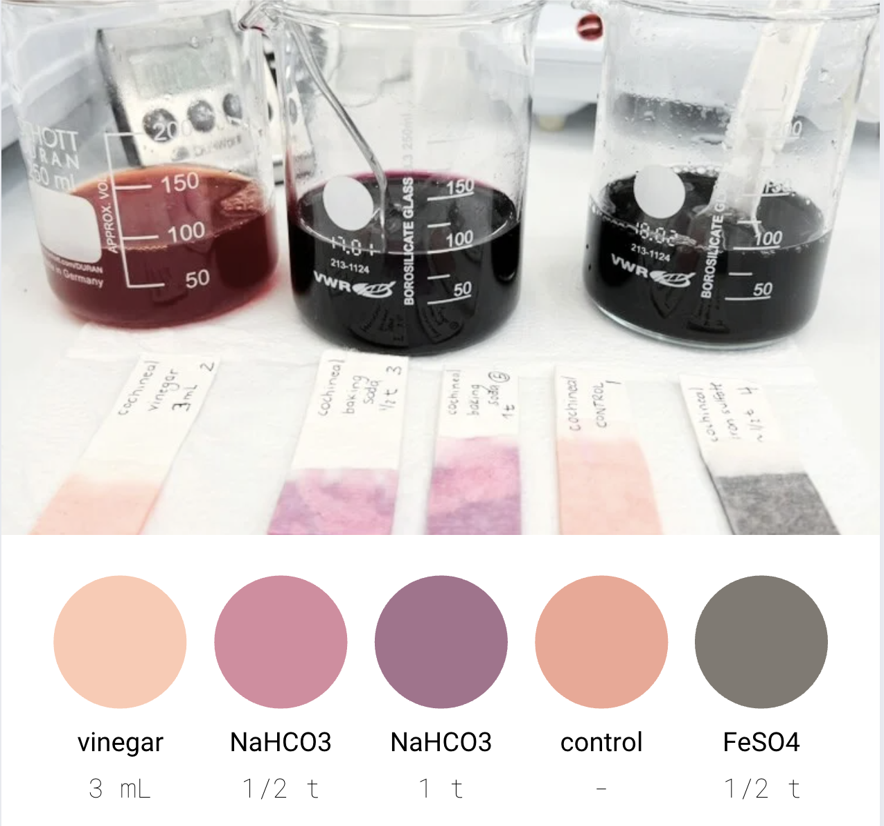 natural dyes made from cochineal