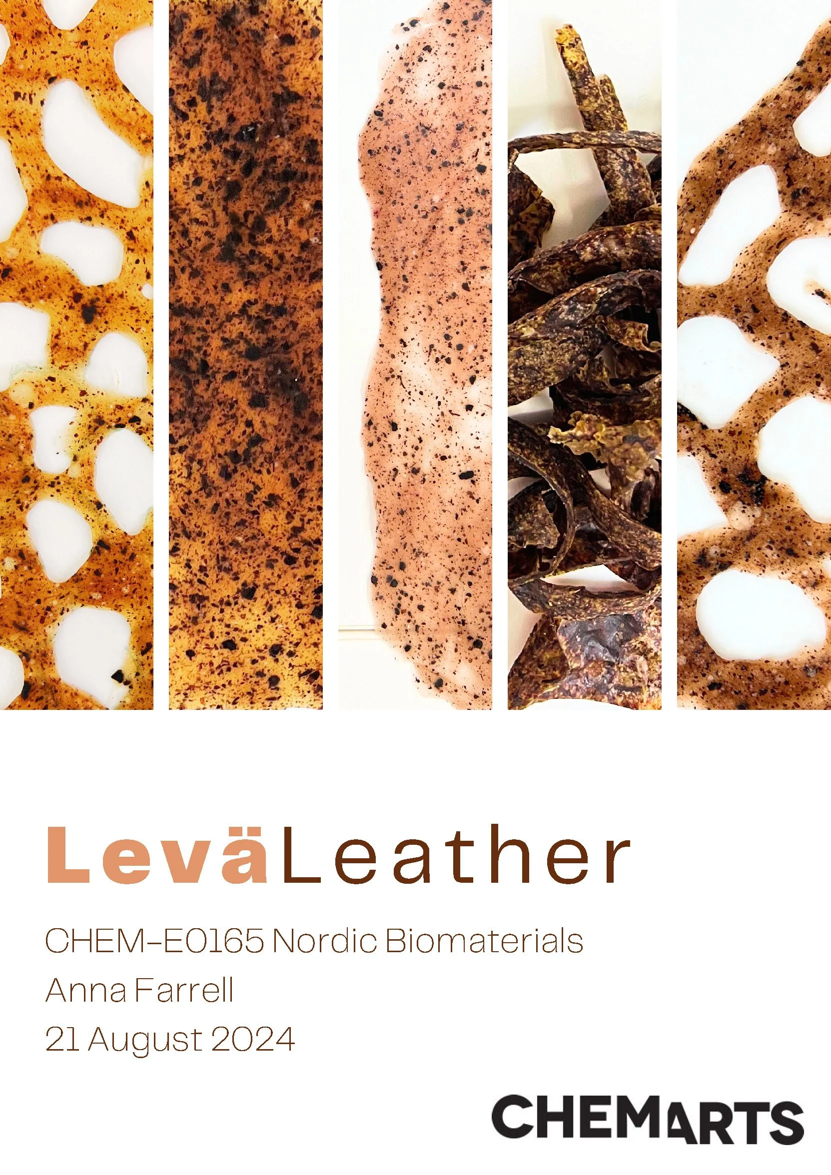 Sustainability report design layout