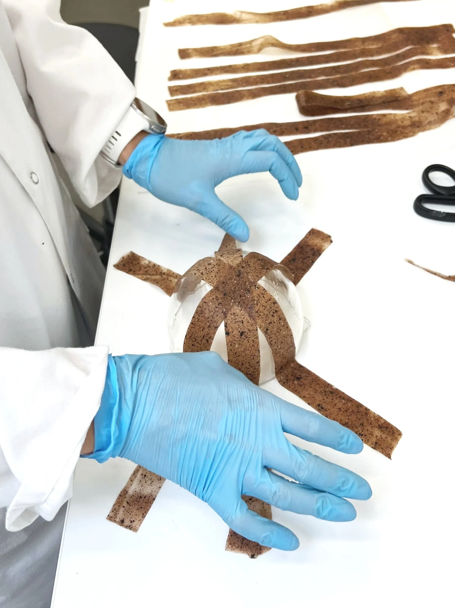 algae biomaterial in strips