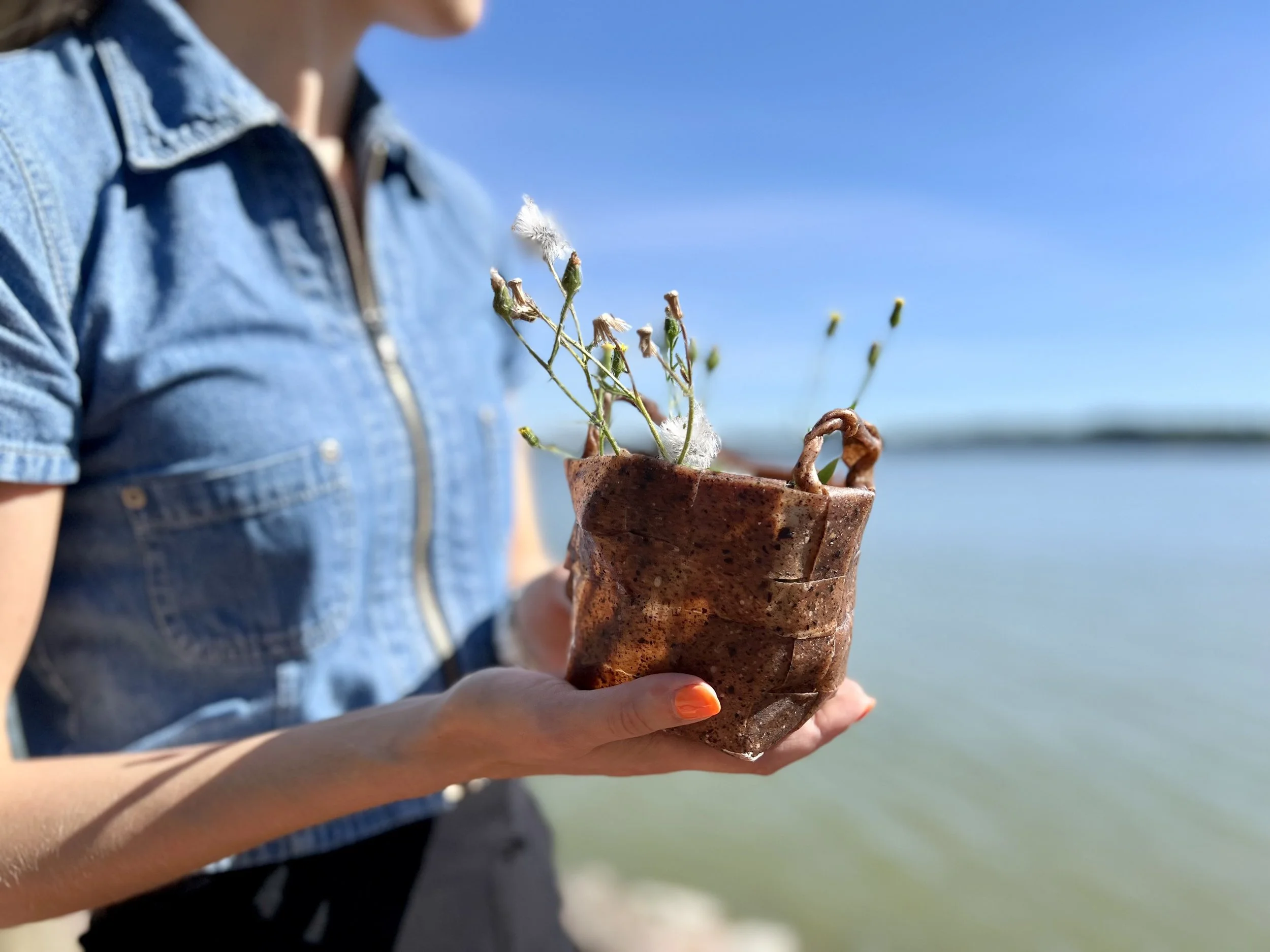 algae biomaterial made into a basket