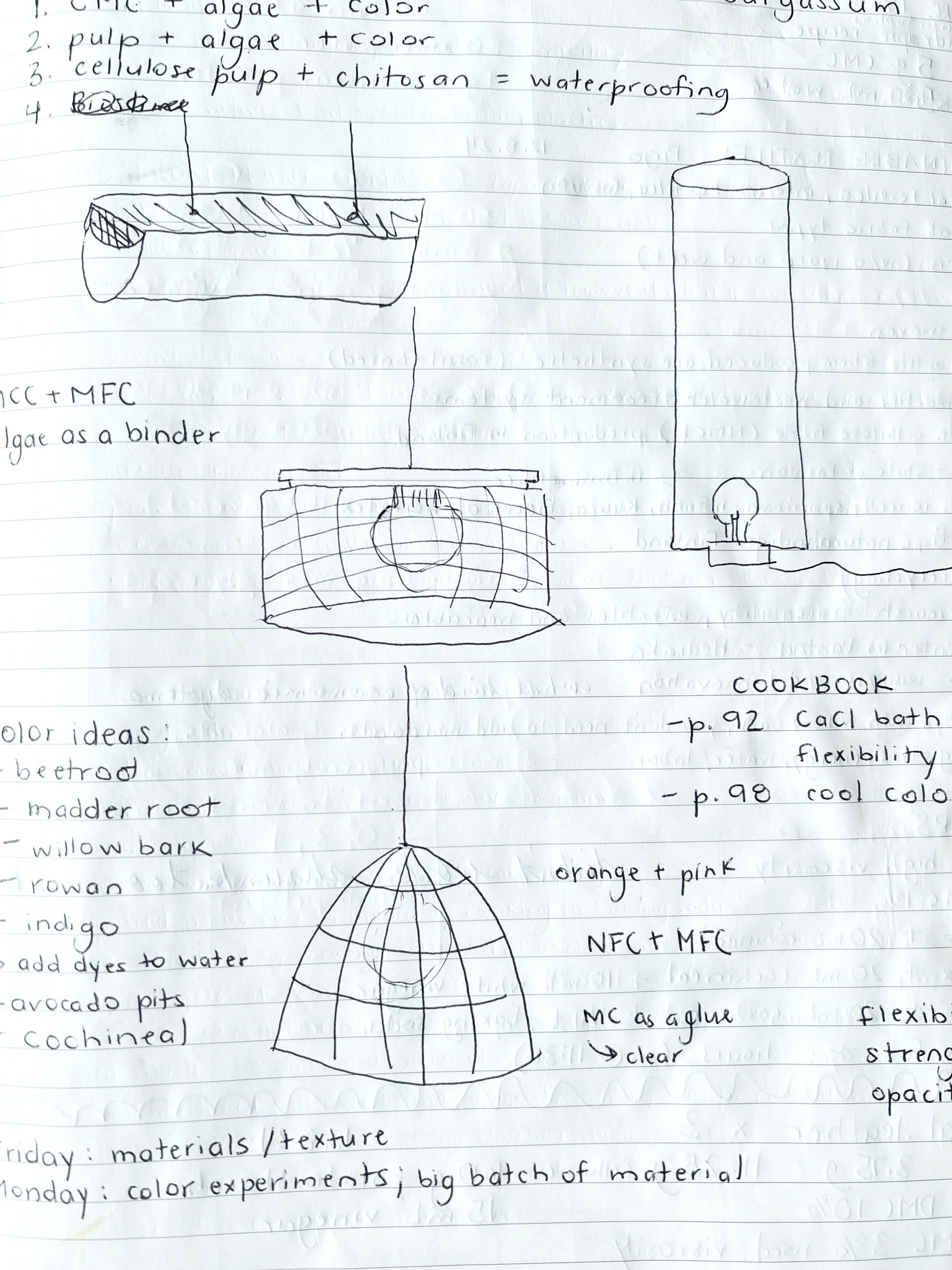 algae biomaterial notes