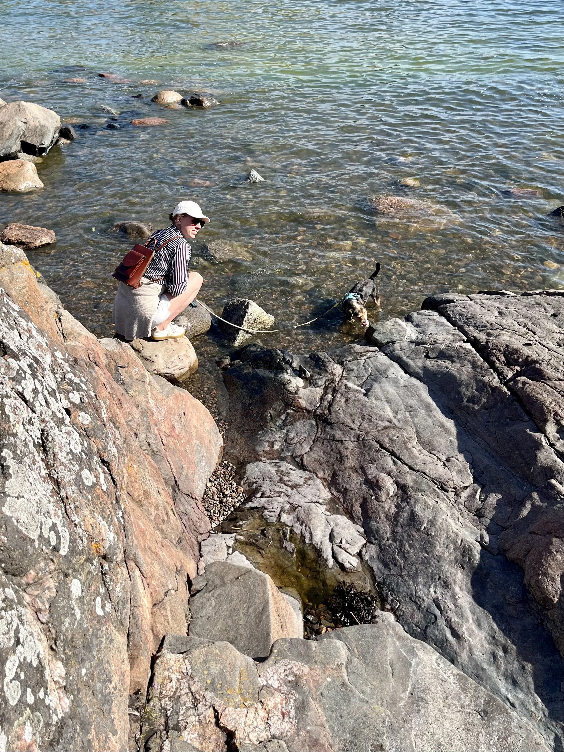 a picture of Anna on the rocky coast with a dog