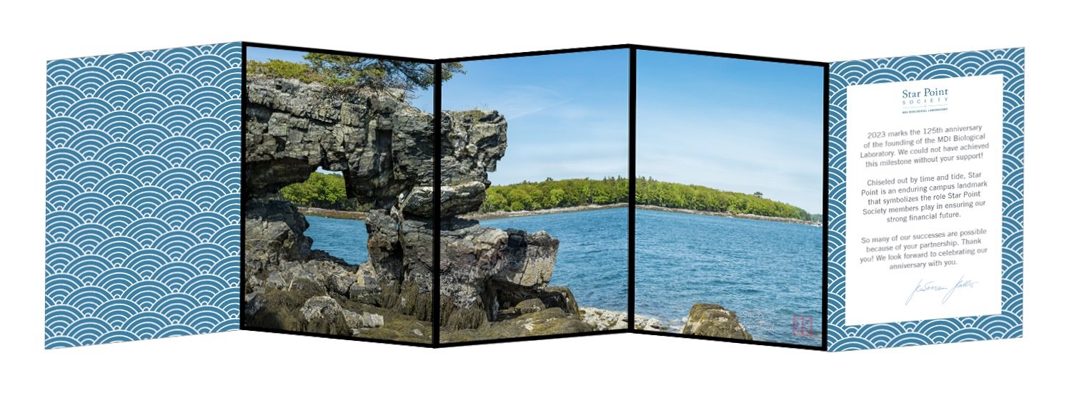 stewardship material for research institution