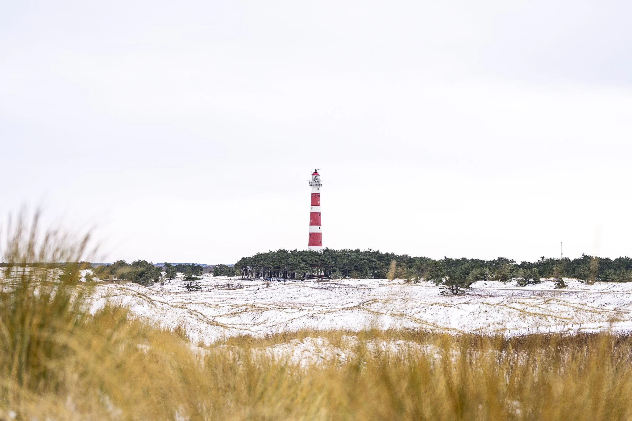 Ameland met ijs-34.jpg